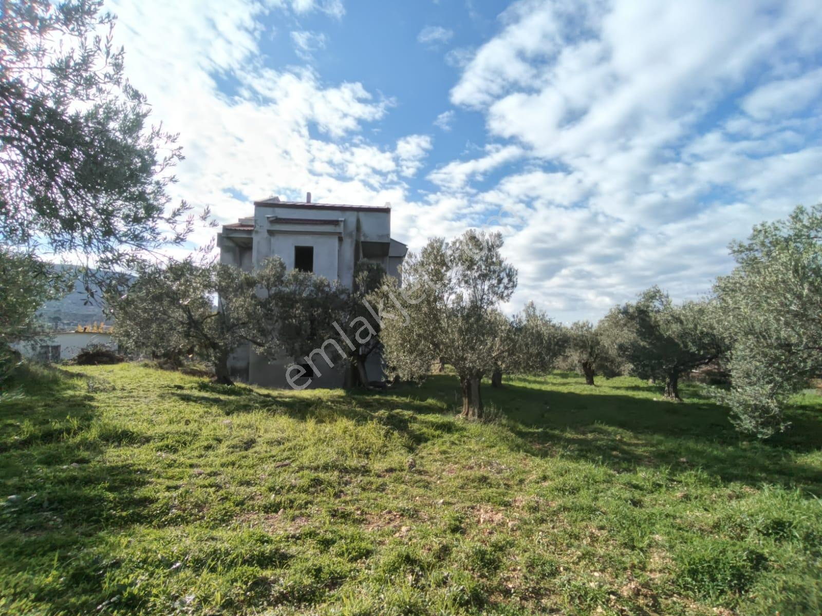 Golden Globy, Taylıeli'nde Satılık 7+1 Villa Ve 7 Dönüm Arazi - Görsel 23