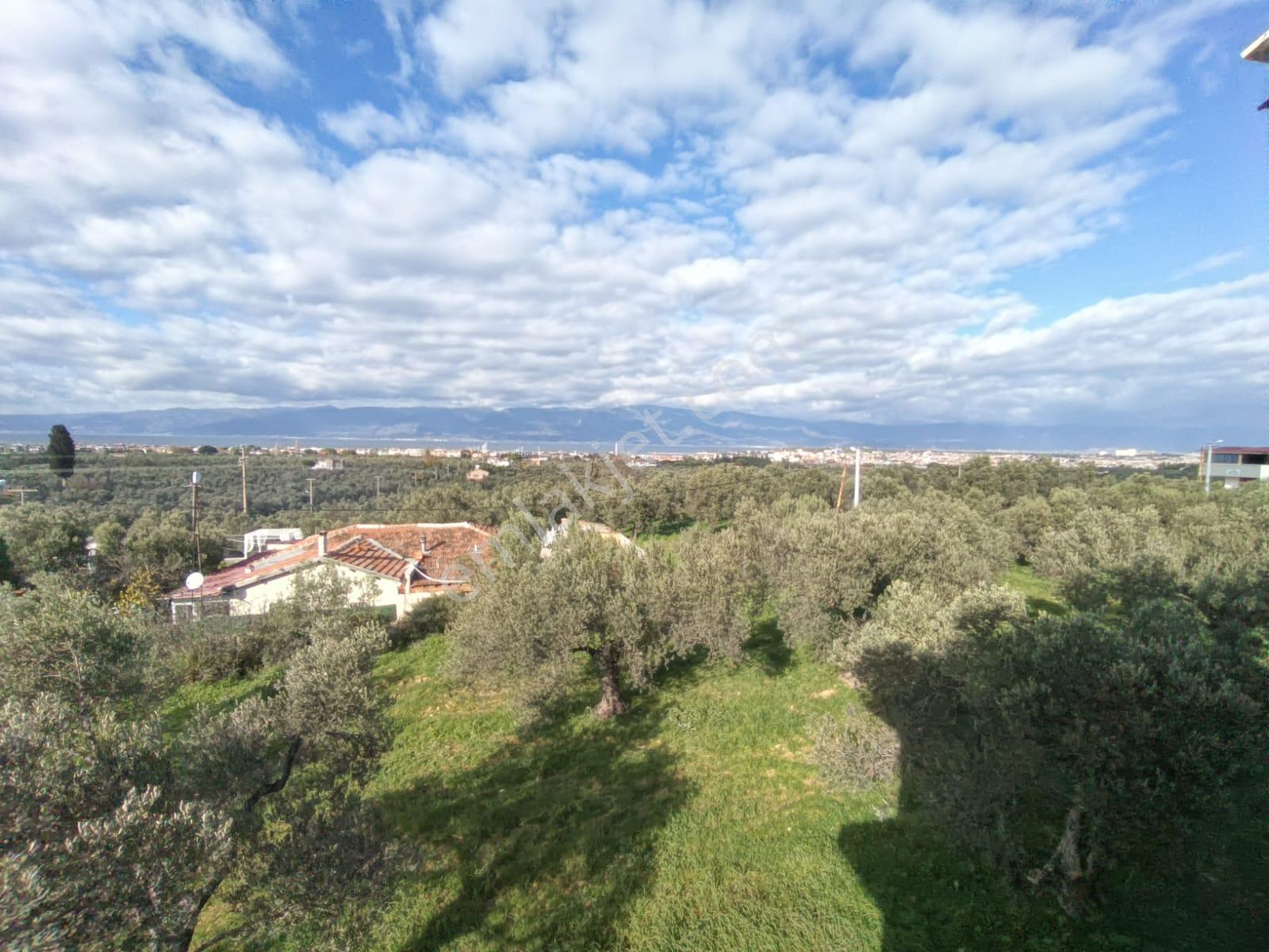 Golden Globy, Taylıeli'nde Satılık 7+1 Villa Ve 7 Dönüm Arazi - Görsel 18