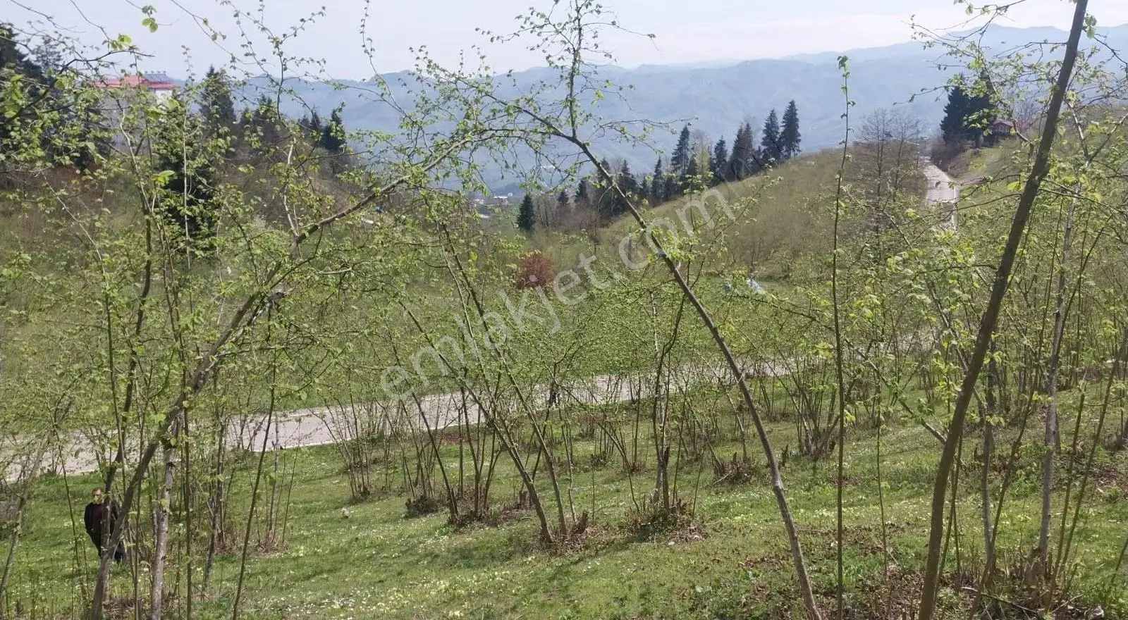 Kamışlı'da 500m² Arazi
