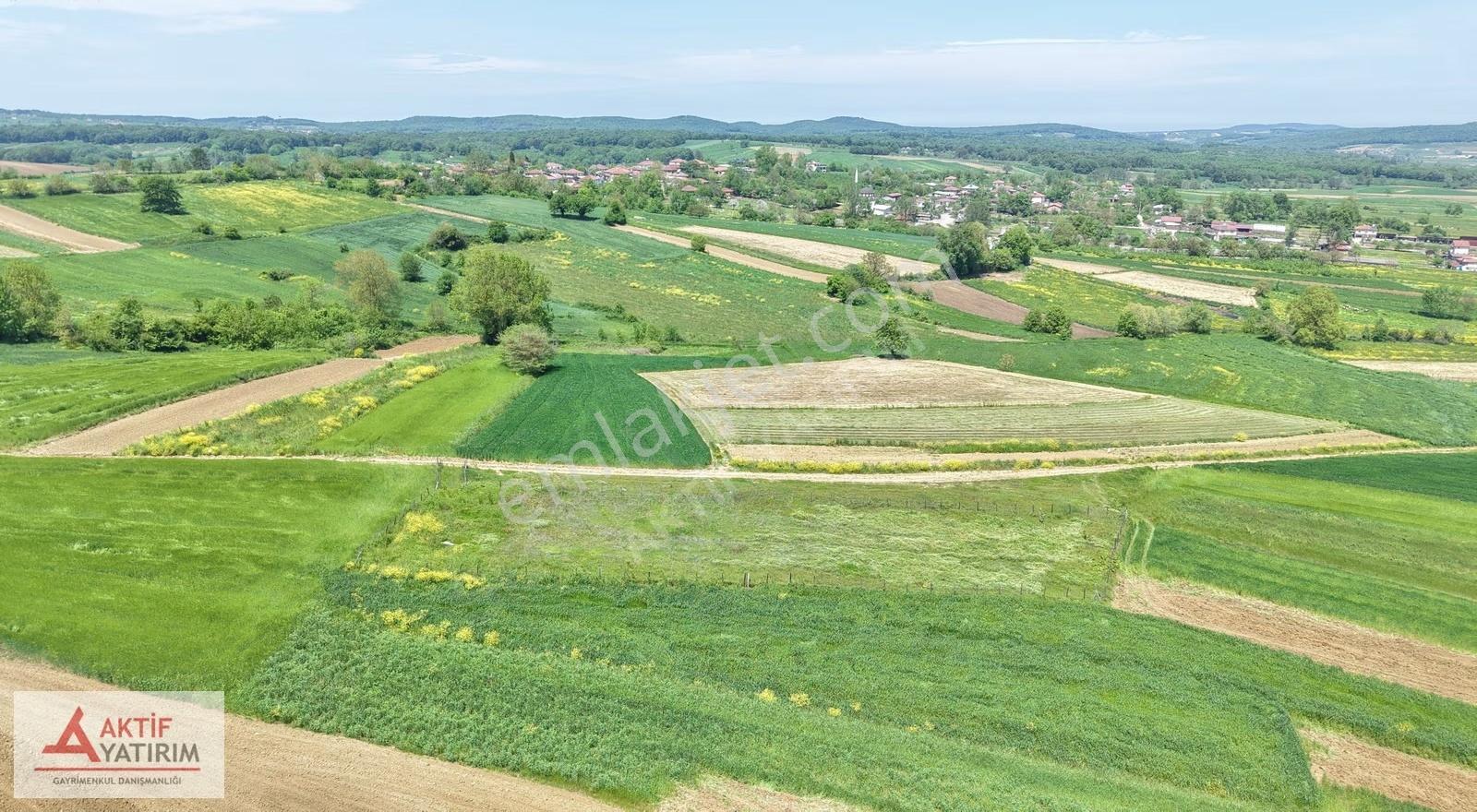 Kandıra Özbey'de 1504 M2 Resmi Yollu %5 İmarlı Çapı Düzgün Tarla - Görsel 25