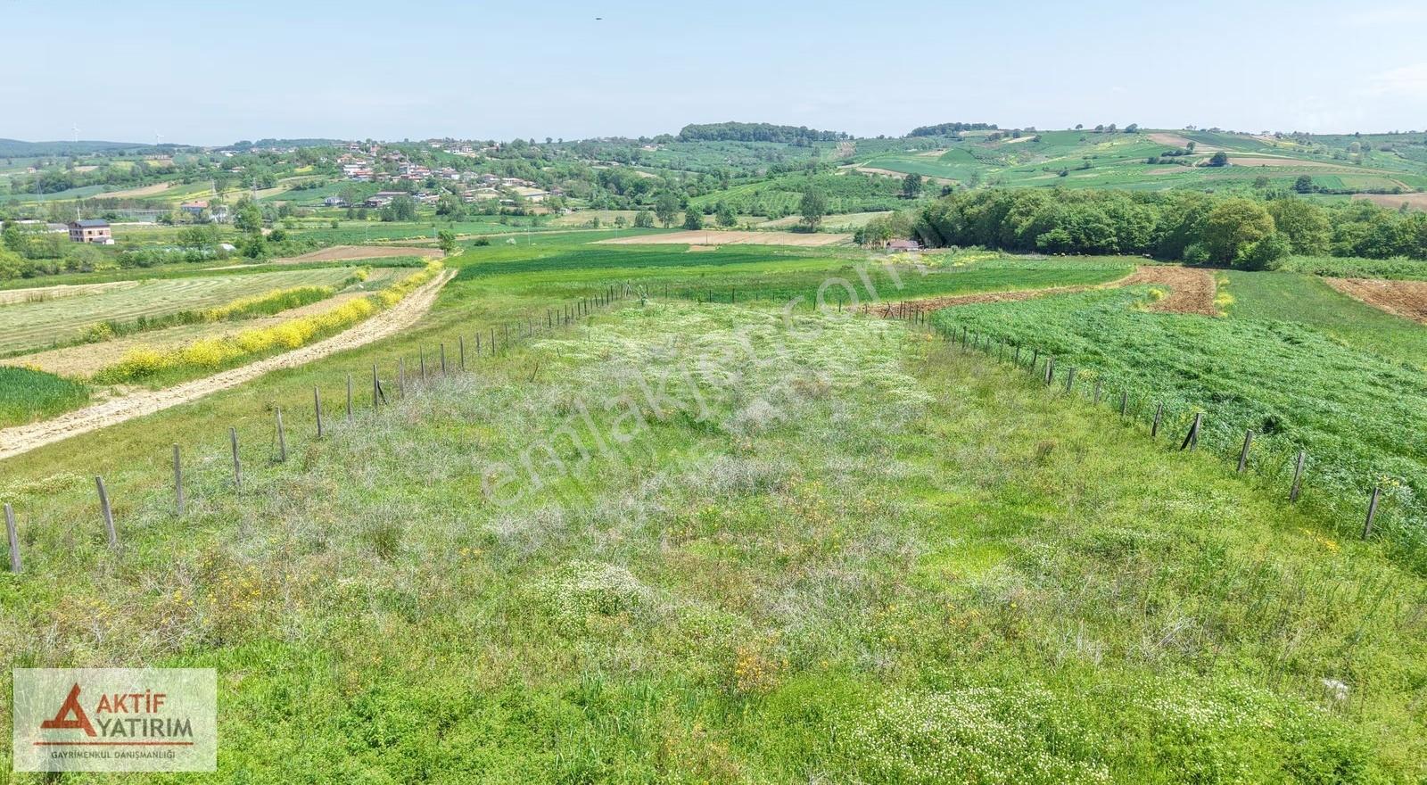 Kandıra Özbey'de 1504 M2 Resmi Yollu %5 İmarlı Çapı Düzgün Tarla - Görsel 10