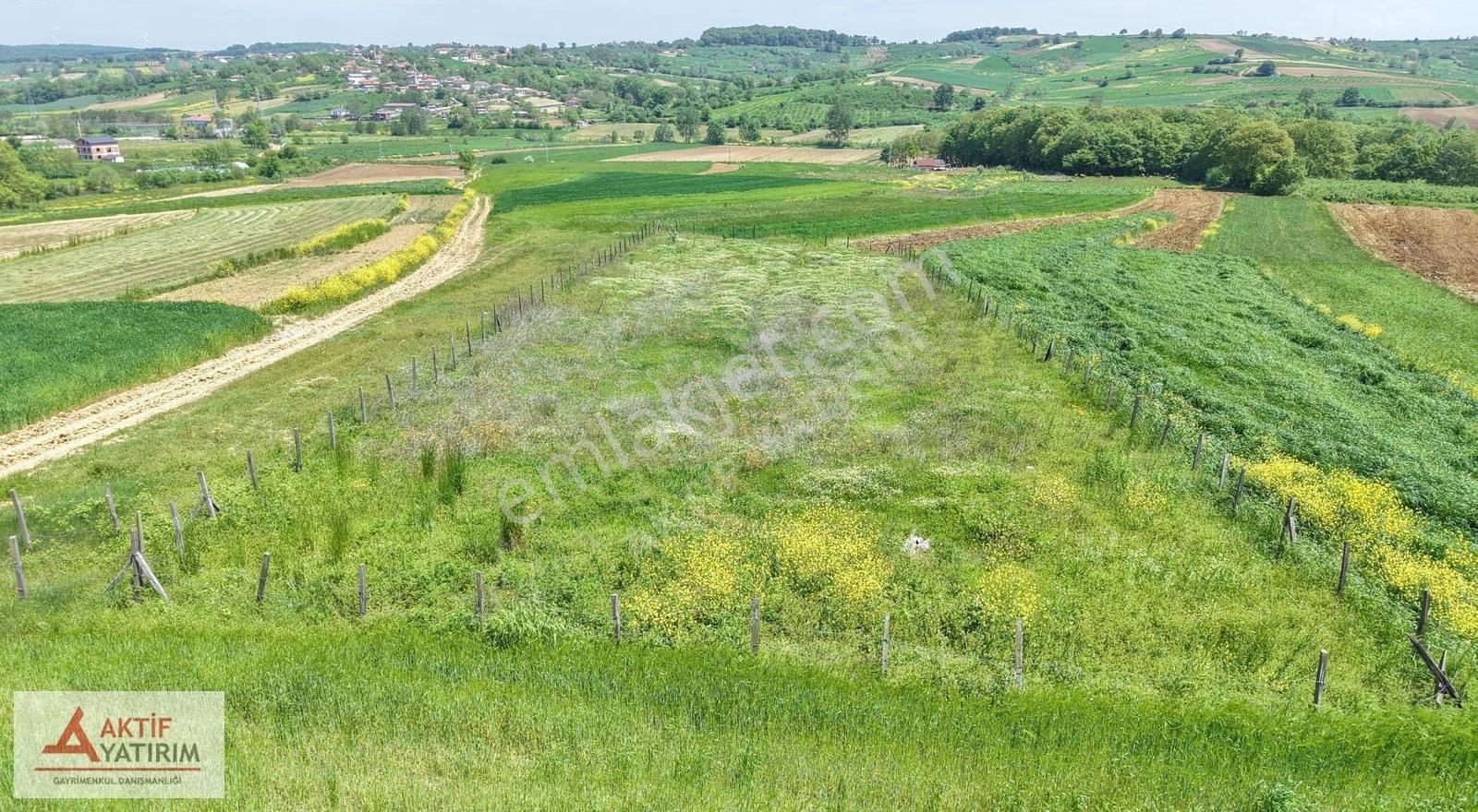 Kandıra Özbey'de 1504 M2 Resmi Yollu %5 İmarlı Çapı Düzgün Tarla - Görsel 3