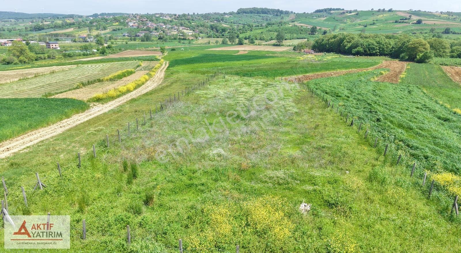 Kandıra Özbey'de 1504 M2 Resmi Yollu %5 İmarlı Çapı Düzgün Tarla - Görsel 18