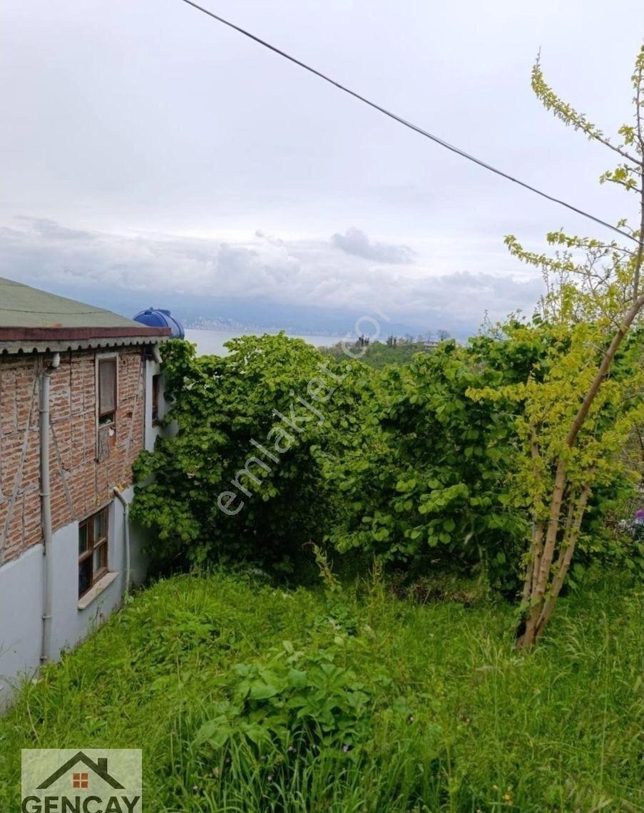 Fatsa Yalıköy'de Deniz Ve Doğa Manzaralı Satılık Arsa - Görsel 2