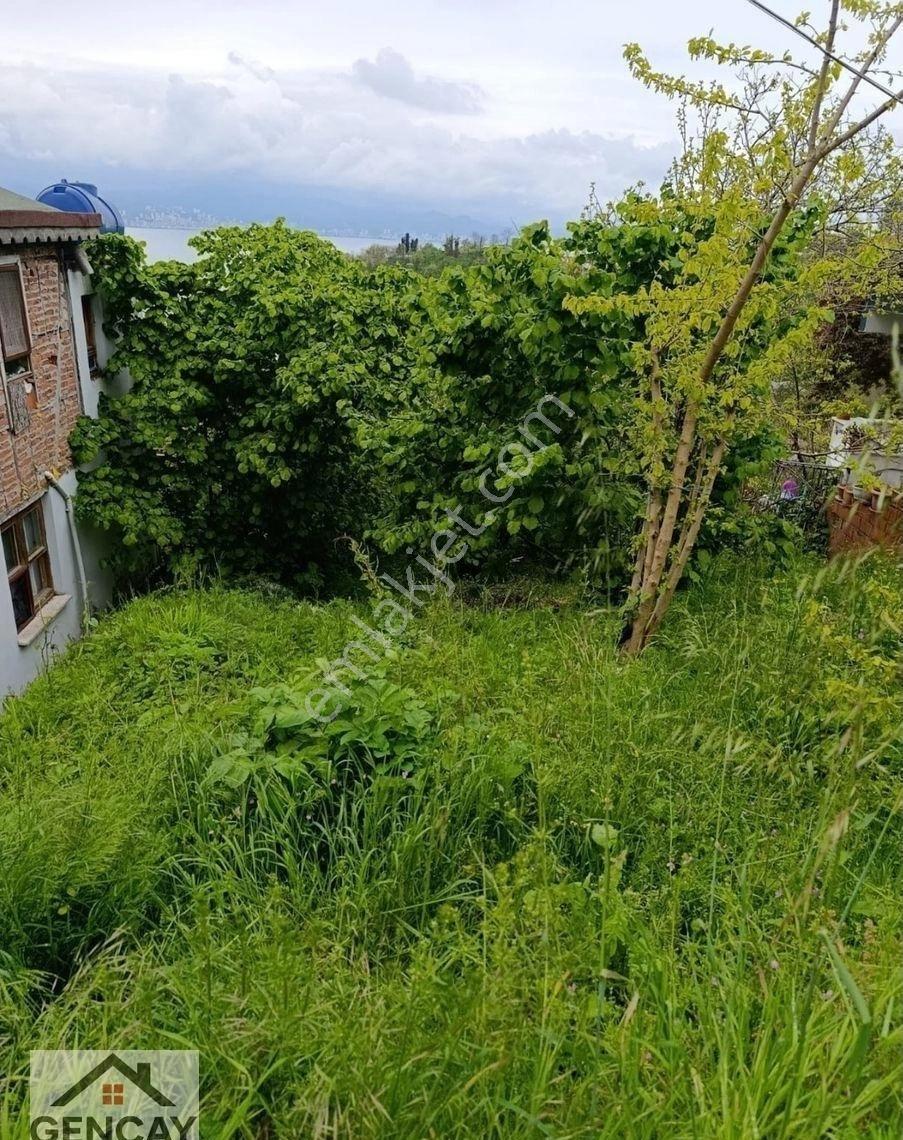 Fatsa Yalıköy'de Deniz Ve Doğa Manzaralı Satılık Arsa - Görsel 6