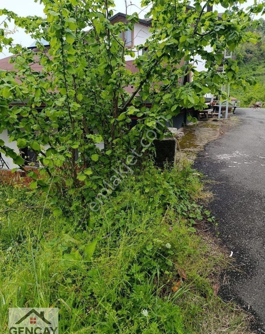 Fatsa Yalıköy'de Deniz Ve Doğa Manzaralı Satılık Arsa - Görsel 4
