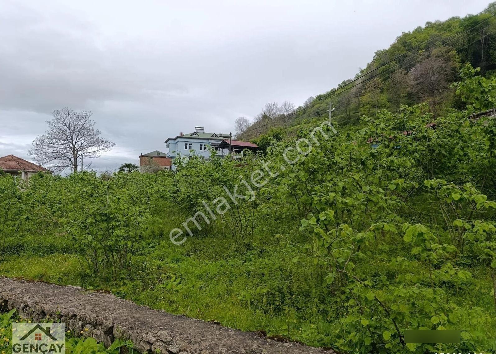 Fatsa Organize Sanayi Yanı Satılık 2080m² Köşe Parsel Arsa - Görsel 11