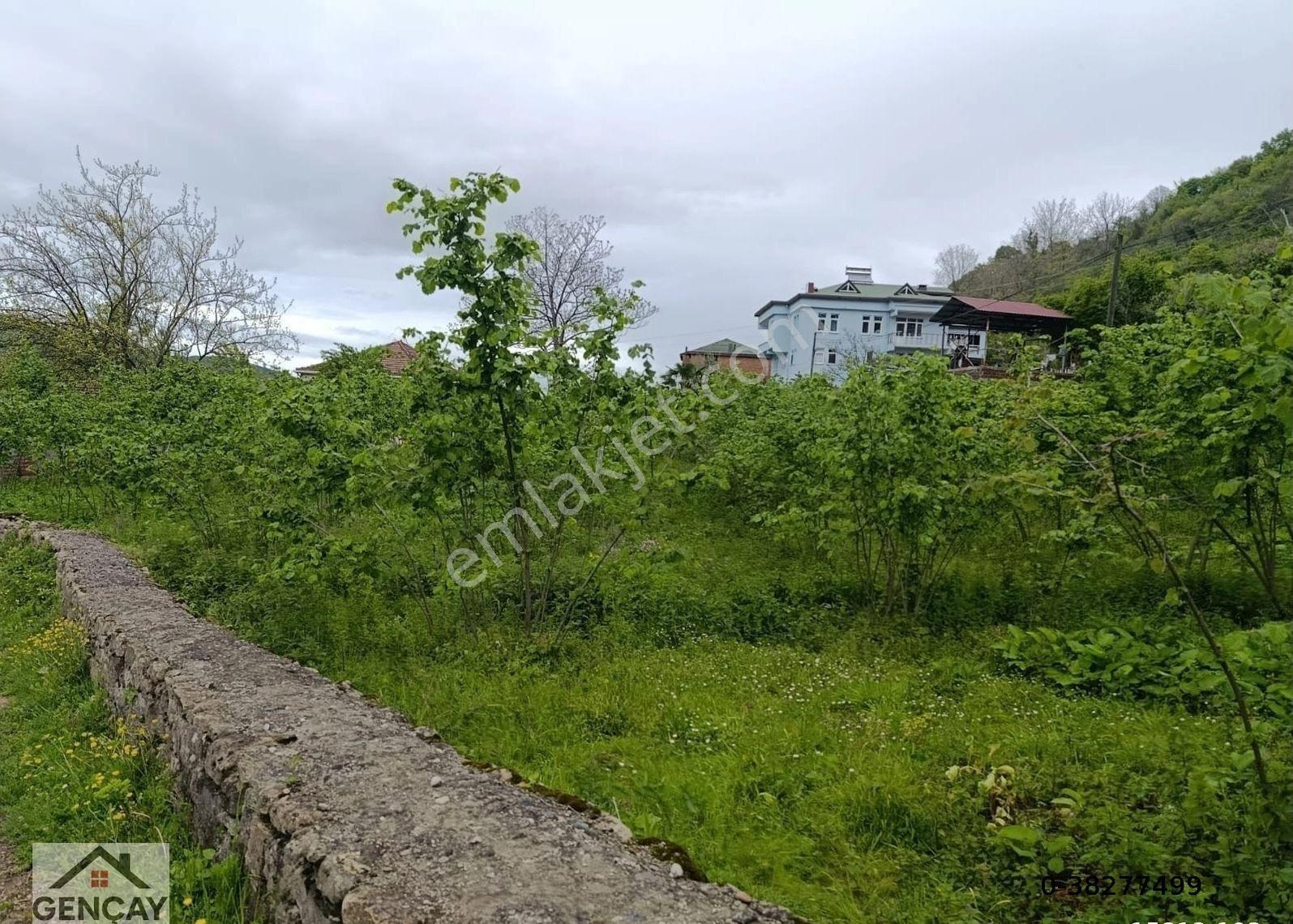 Fatsa Organize Sanayi Yanı Satılık 2080m² Köşe Parsel Arsa - Görsel 7