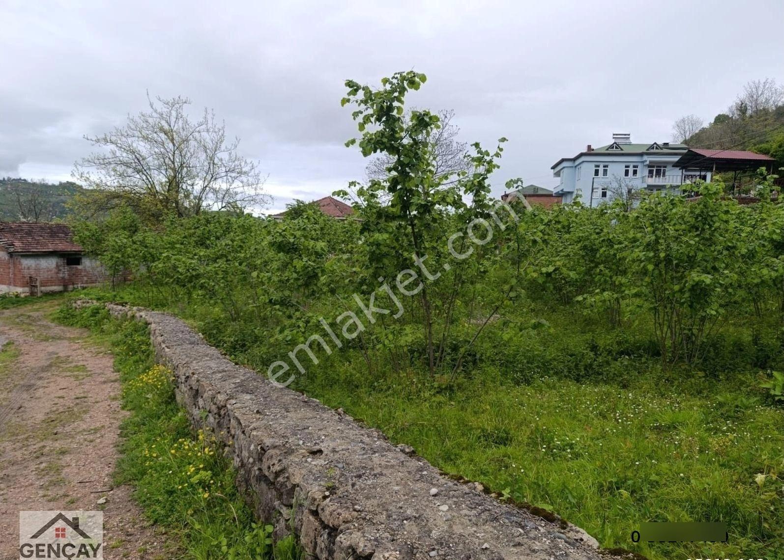 Fatsa Organize Sanayi Yanı Satılık 2080m² Köşe Parsel Arsa - Görsel 2