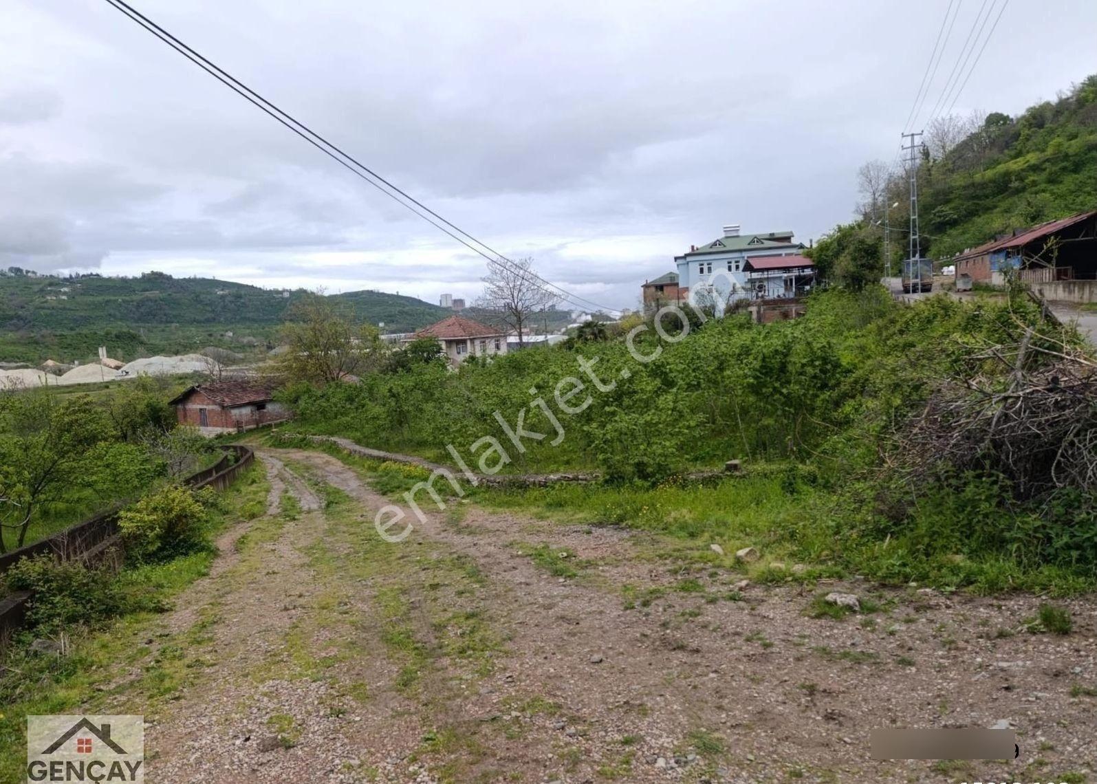 Fatsa Organize Sanayi Yanı Satılık 2080m² Köşe Parsel Arsa - Görsel 6