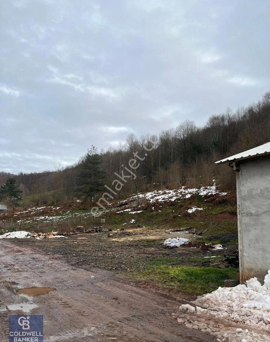 Golcuk Irsadiye Satilik Hayvan Ciftligi 5423m2 Arsa İcinde - Görsel 2