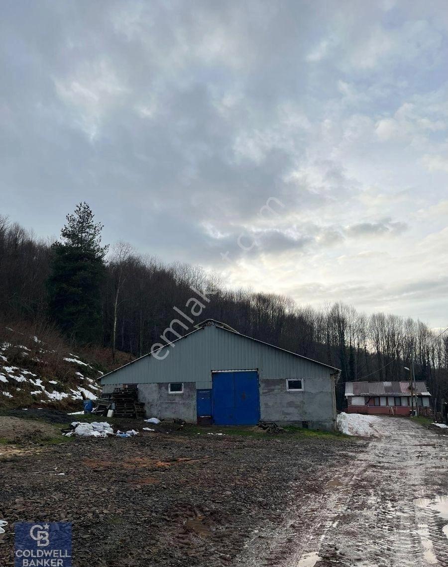 Golcuk Irsadiye Satilik Hayvan Ciftligi 5423m2 Arsa İcinde - Görsel 6