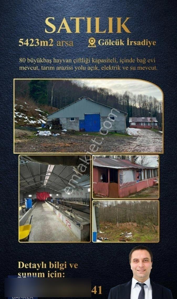 Golcuk Irsadiye Satilik Hayvan Ciftligi 5423m2 Arsa İcinde - Görsel 5
