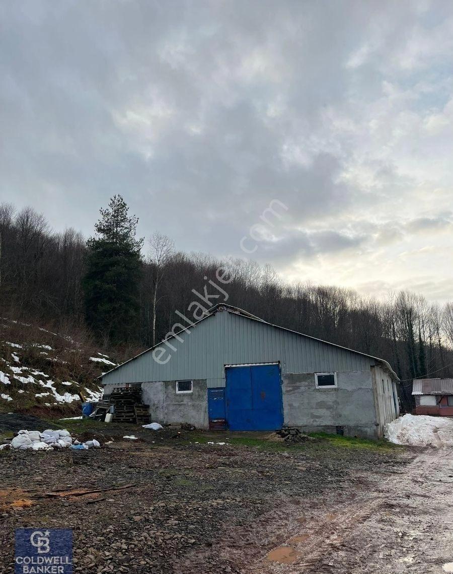 Golcuk Irsadiye Satilik Hayvan Ciftligi 5423m2 Arsa İcinde - Görsel 9