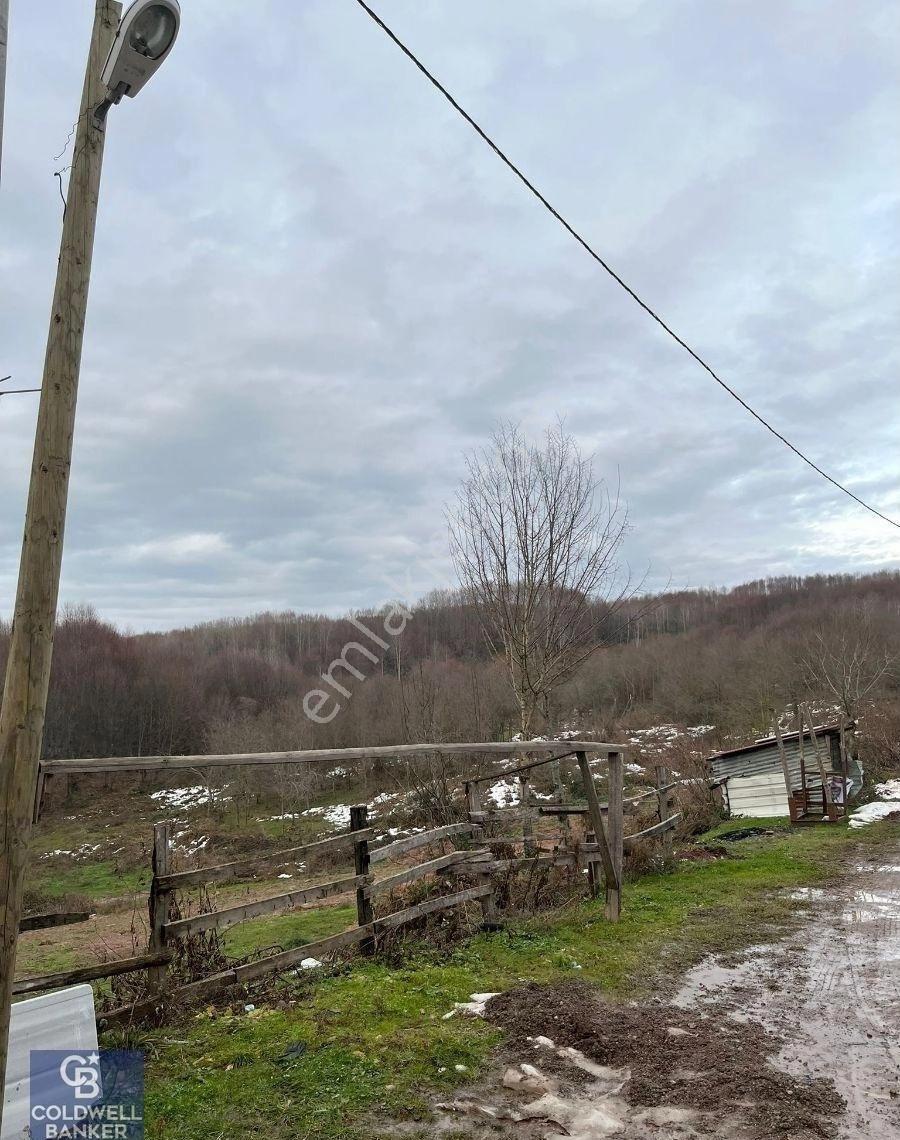 Golcuk Irsadiye Satilik Hayvan Ciftligi 5423m2 Arsa İcinde - Görsel 8