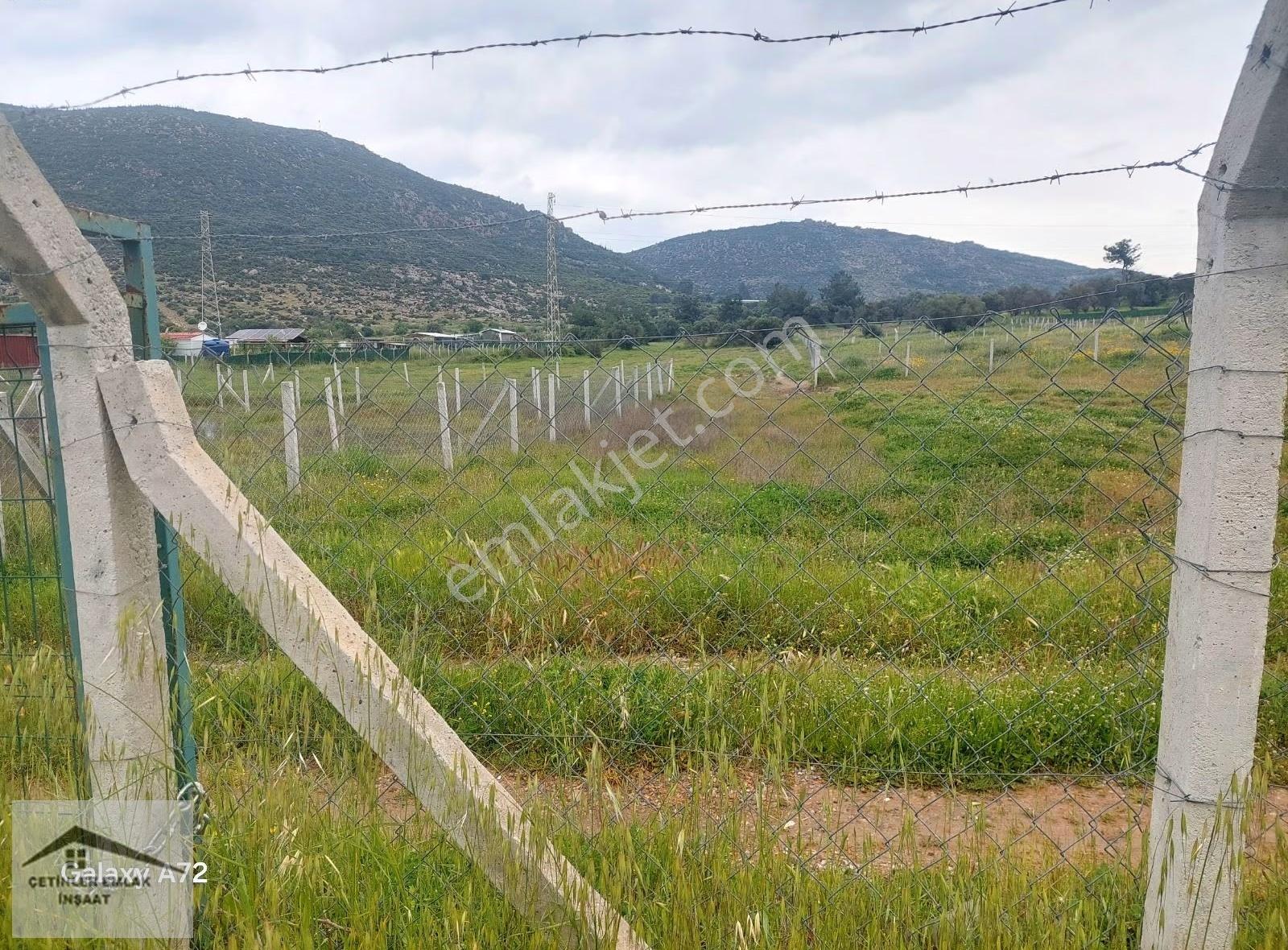 Has Çetinlerden İzmir Mendereste 2300m2 Tarla - Görsel 12