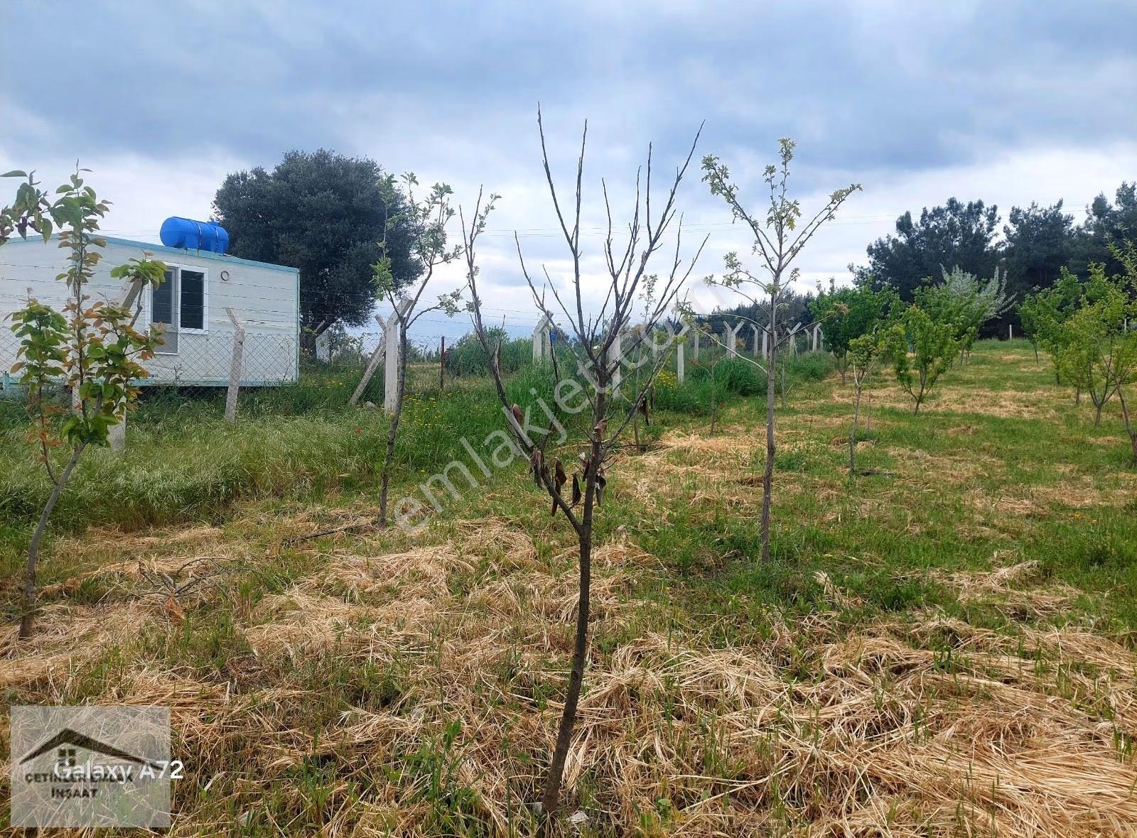 Has Çetinlerden İzmir Mendereste 2300m2 Tarla - Görsel 14