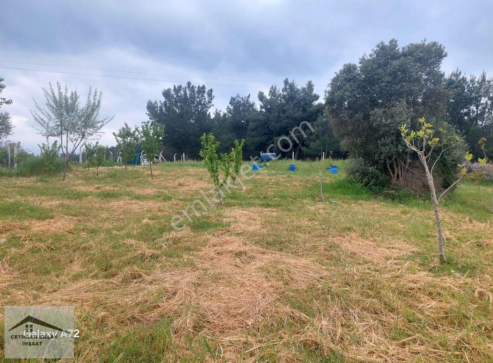 Has Çetinlerden İzmir Mendereste 2300m2 Tarla - Görsel 3