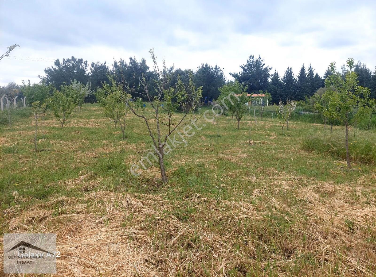 Has Çetinlerden İzmir Mendereste 2300m2 Tarla - Görsel 8