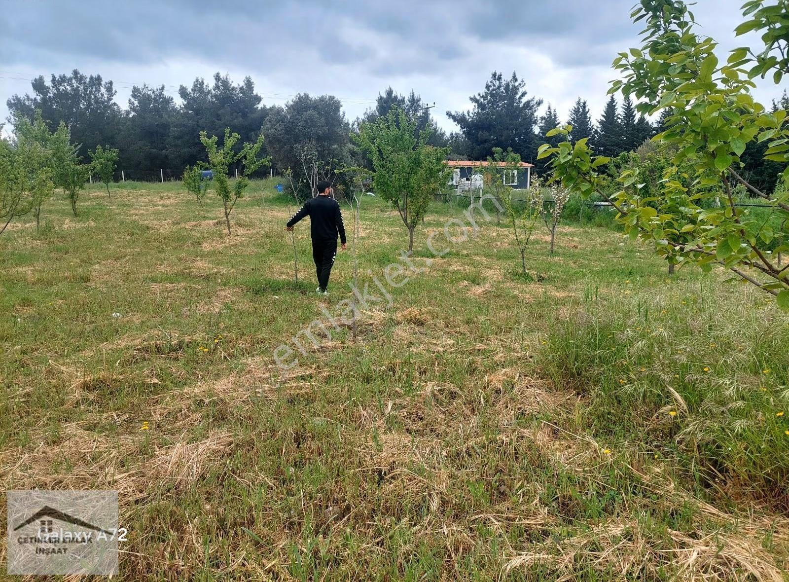 Has Çetinlerden İzmir Mendereste 2300m2 Tarla - Görsel 4