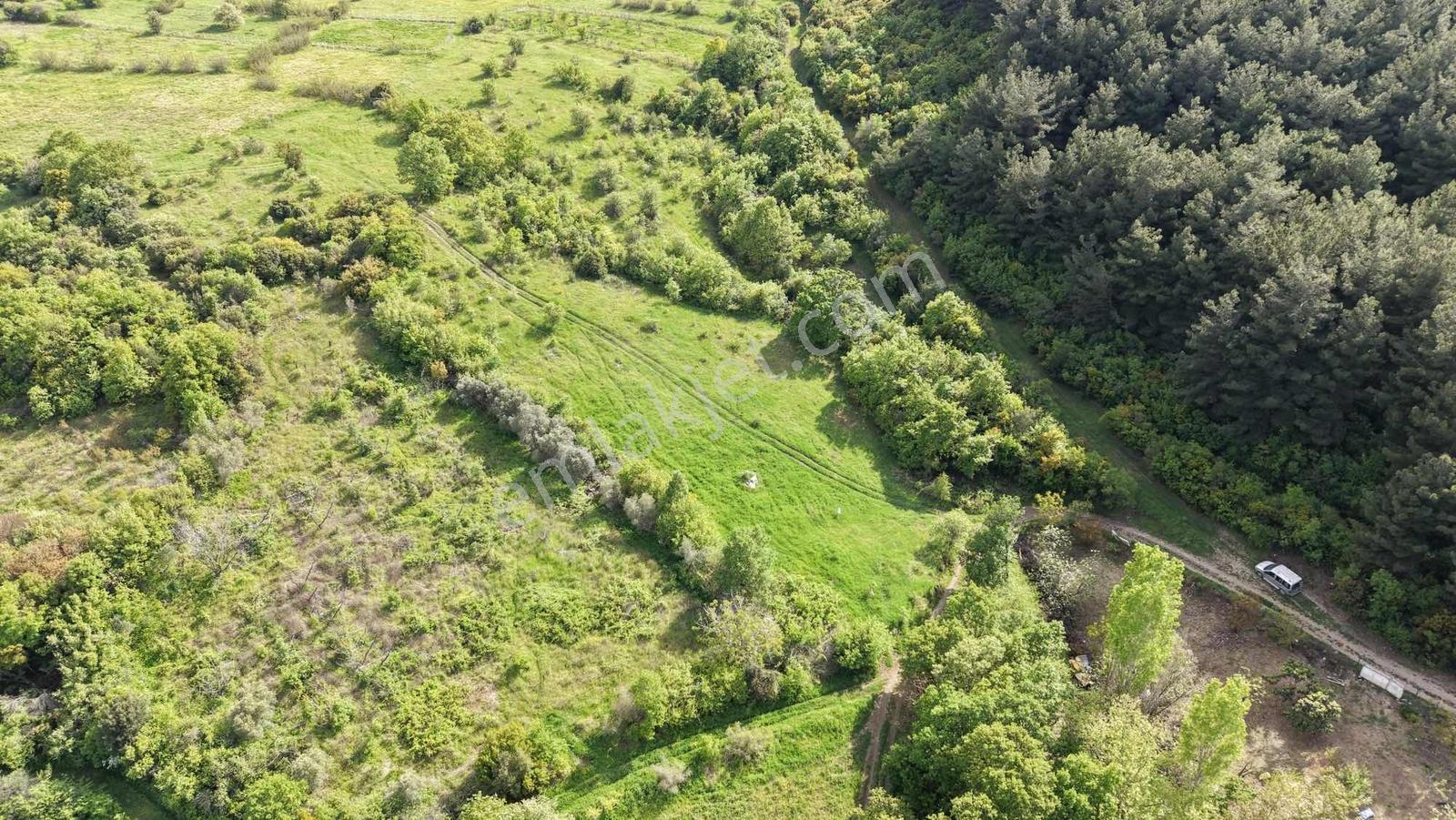 Çanakkale Lapseki Mecidiye Köyde Satılık 3.655 Metre² Arazi - Görsel 12