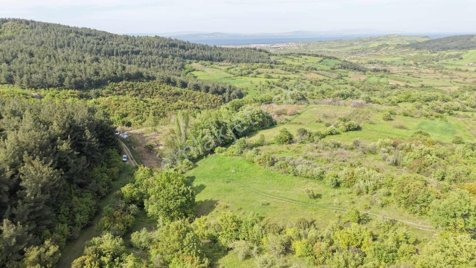 Çanakkale Lapseki Mecidiye Köyde Satılık 3.655 Metre² Arazi - Görsel 6