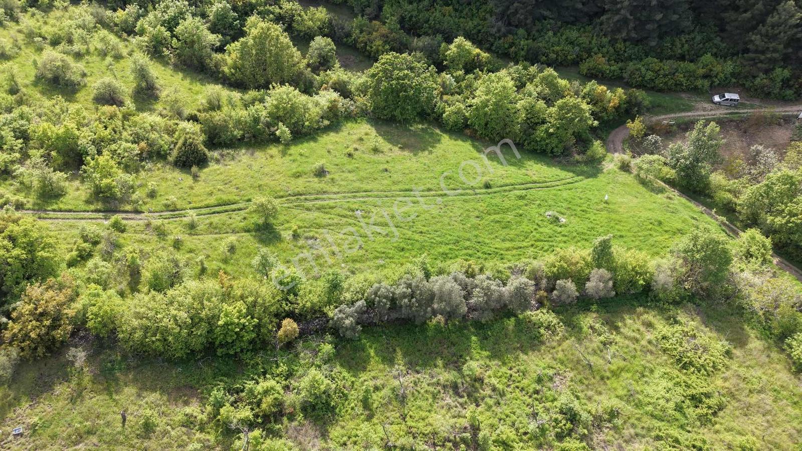 Çanakkale Lapseki Mecidiye Köyde Satılık 3.655 Metre² Arazi - Görsel 5