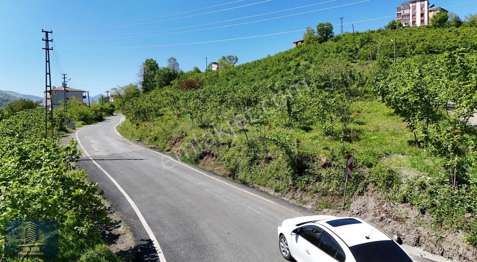 Vyg'den Ortahisar Kutlugün Mahallesinde 2456 M2 Arsa - Görsel 12