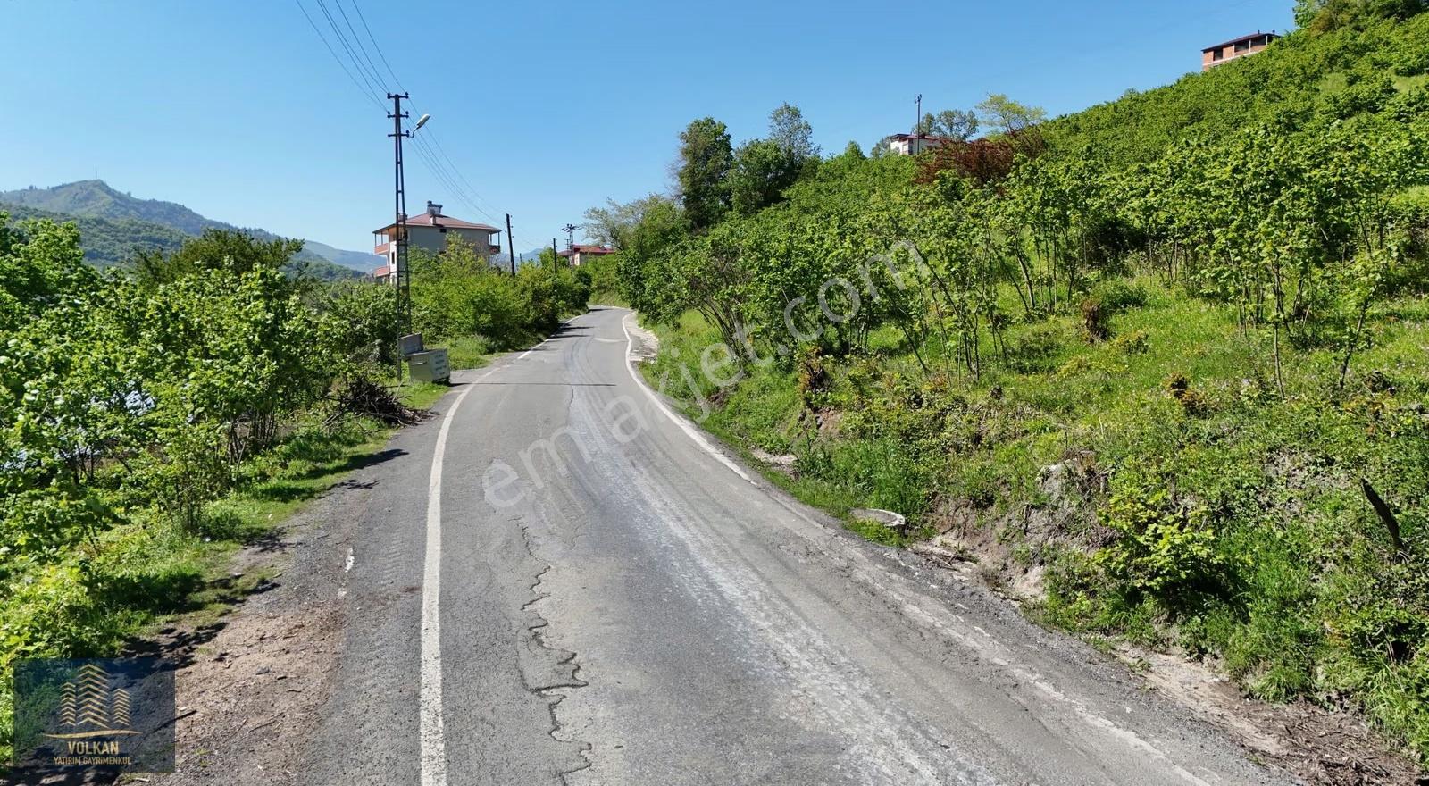 Vyg'den Ortahisar Kutlugün Mahallesinde 2456 M2 Arsa - Görsel 9