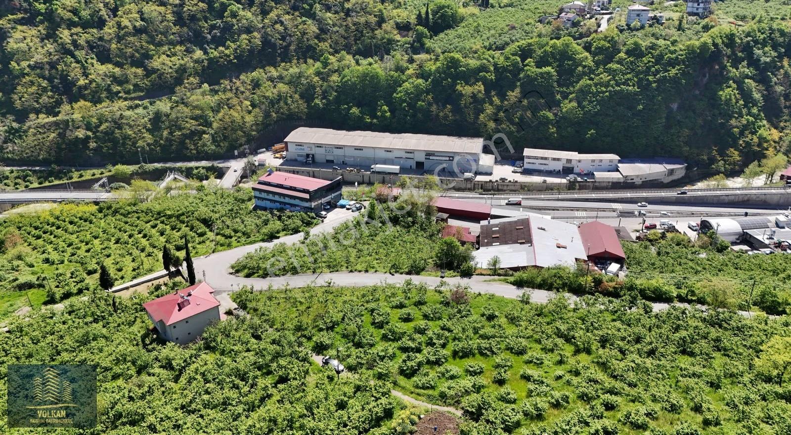 Vyg'den Ortahisar Kutlugün Mahallesinde 2456 M2 Arsa - Görsel 5