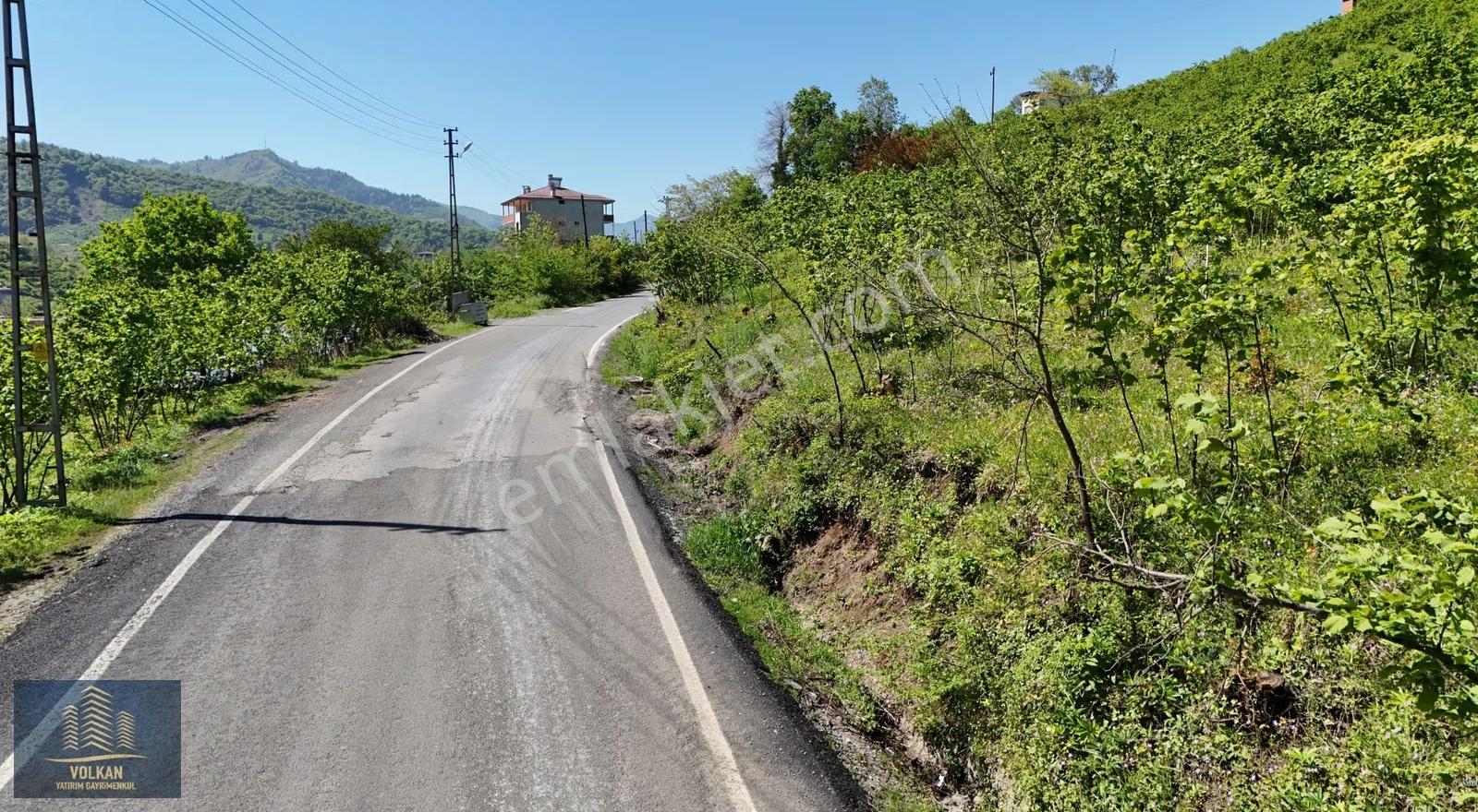Vyg'den Ortahisar Kutlugün Mahallesinde 2456 M2 Arsa - Görsel 7