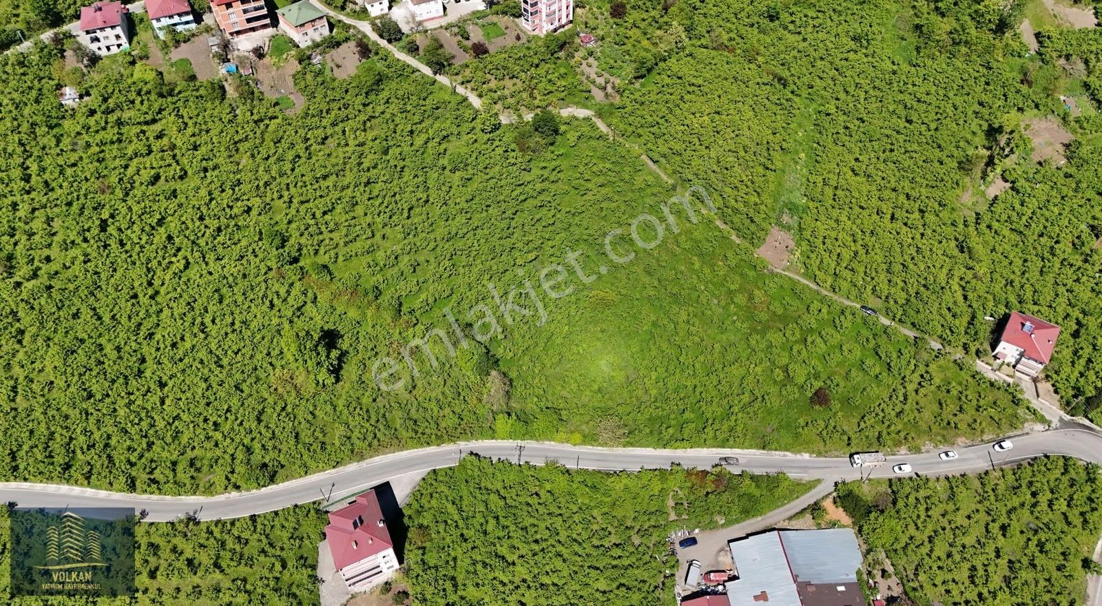 Vyg'den Ortahisar Kutlugün Mahallesinde 2456 M2 Arsa - Görsel 4