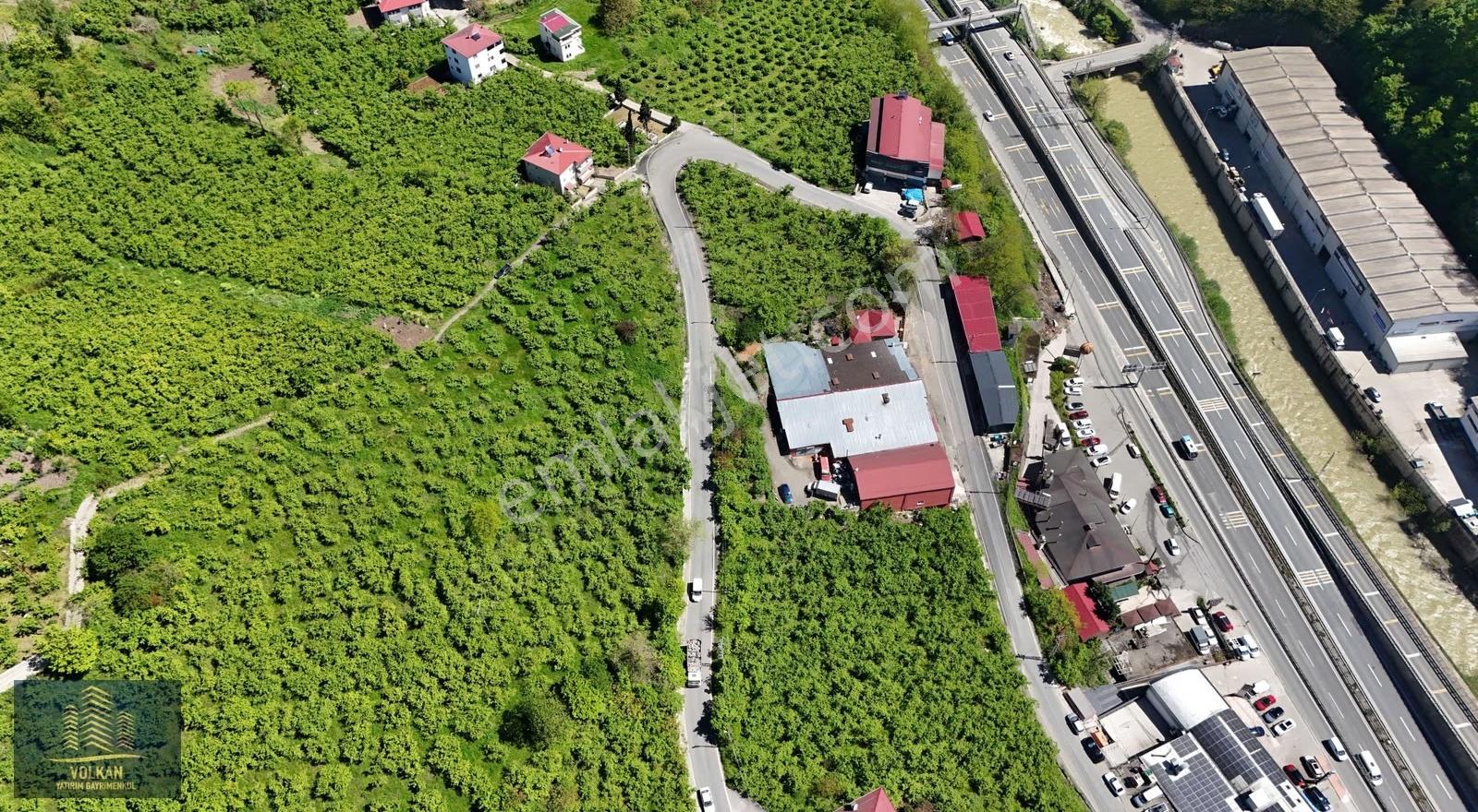 Vyg'den Ortahisar Kutlugün Mahallesinde 2456 M2 Arsa - Görsel 11