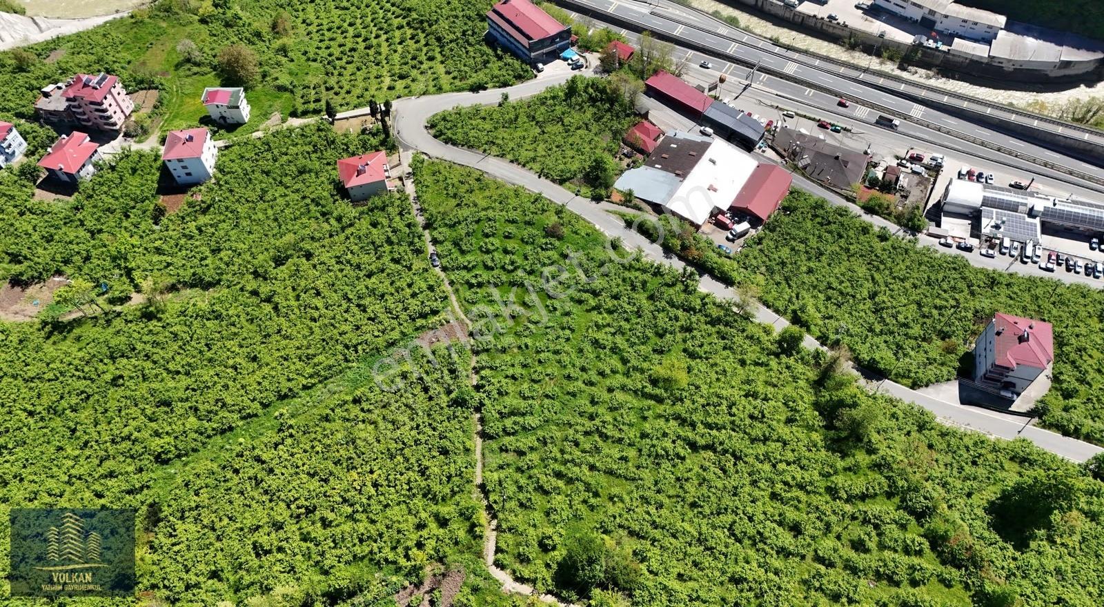 Vyg'den Ortahisar Kutlugün Mahallesinde 2456 M2 Arsa - Görsel 6
