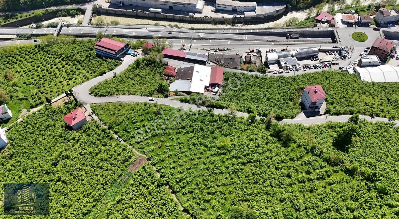 Vyg'den Ortahisar Kutlugün Mahallesinde 2456 M2 Arsa - Görsel 13