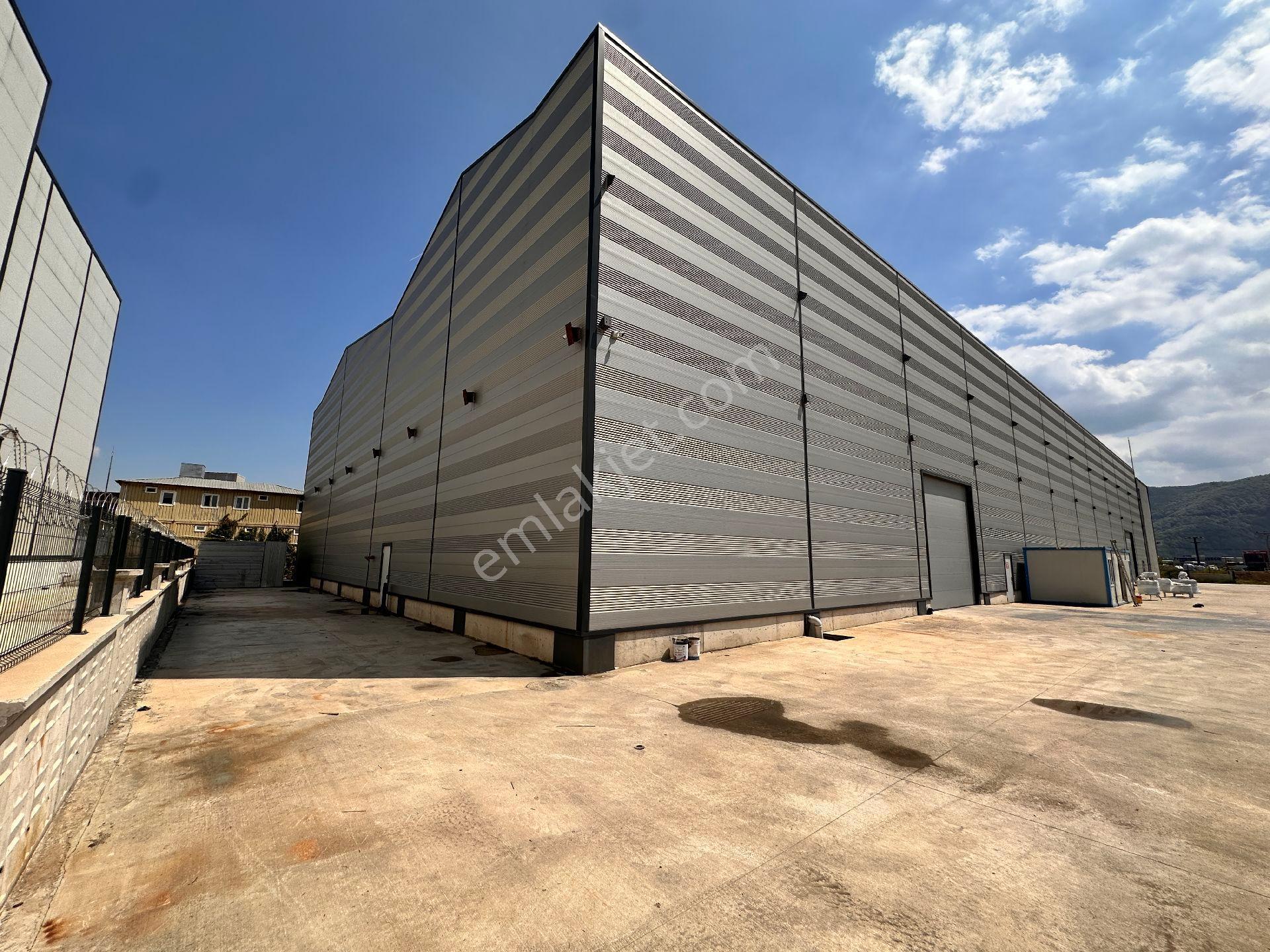 Remax Mavi Senem Koç Sakarya Arifiye'de Kiralık 3460m2 Fabrika - Görsel 2