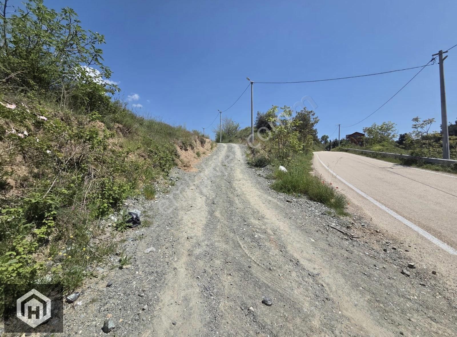 Bursa Mudanya Dereköy De 3147mt2 Anayola Yakın Satılık Zeytinlik - Görsel 3