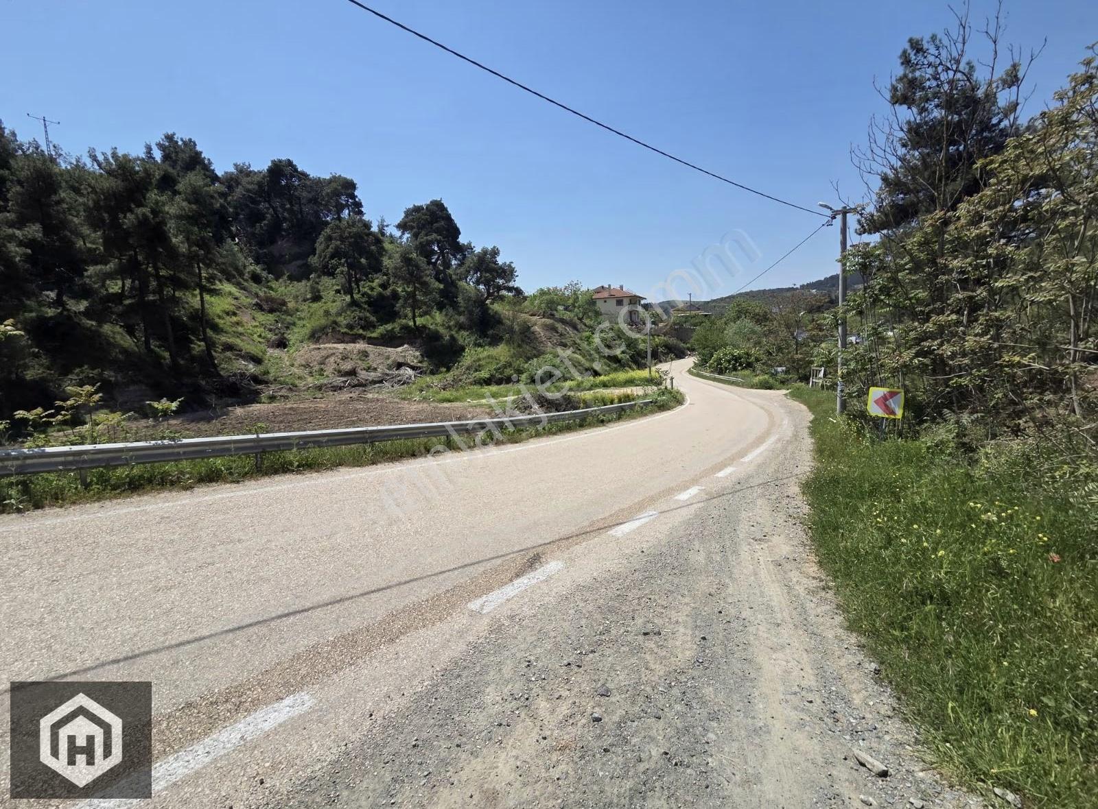 Bursa Mudanya Dereköy De 3147mt2 Anayola Yakın Satılık Zeytinlik