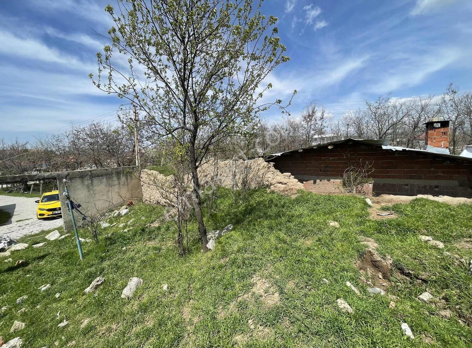 Şintil(bahçekapı) Köy İçinde Uygun İmarlı Arsa - Görsel 7