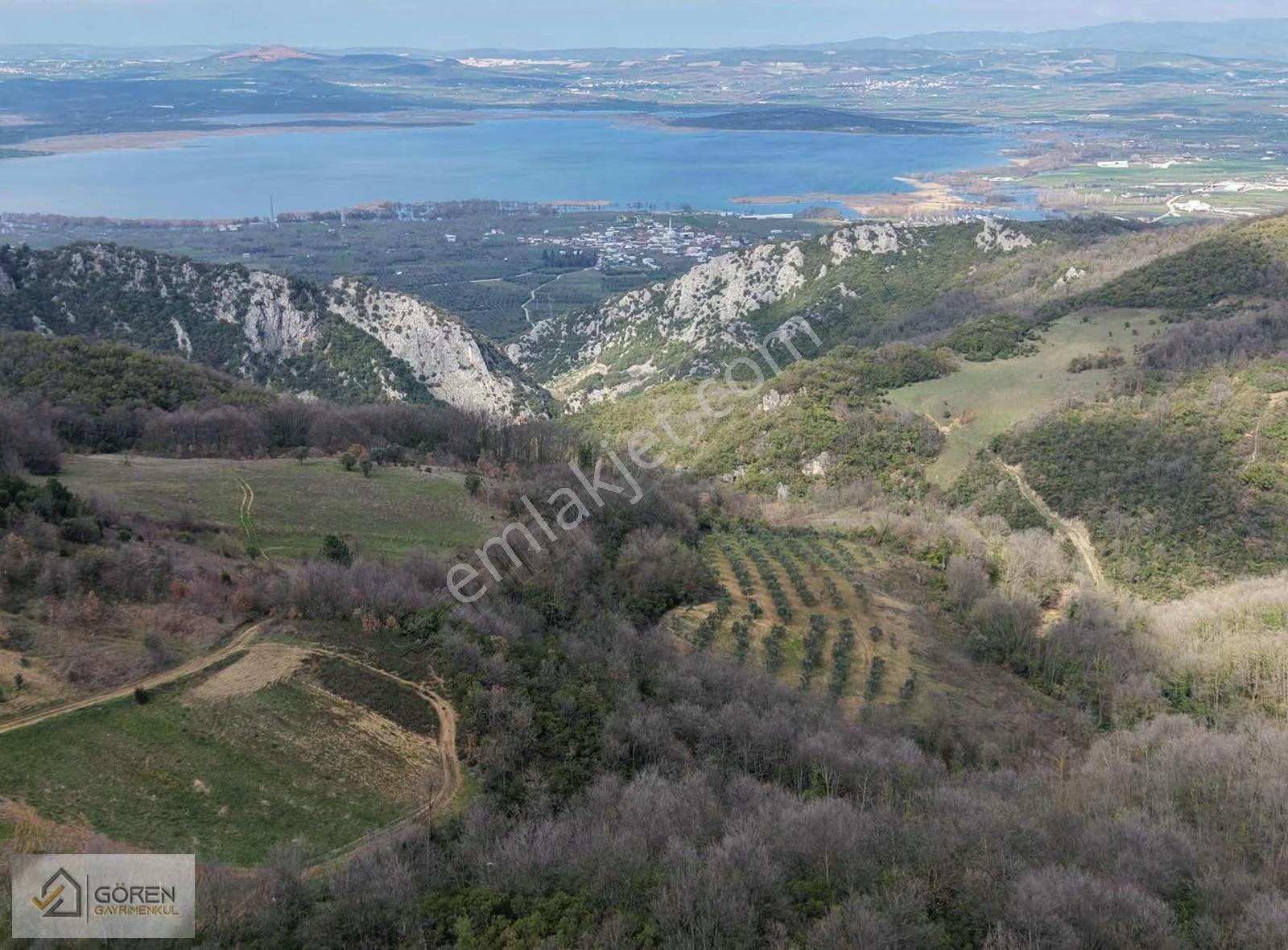 Nilüfer Ayva Köyde Tek Tapu 920 M2 Tarla - Görsel 3