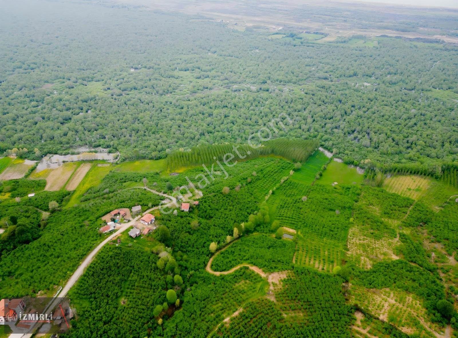 Doğa İçinde Kazançlı Yatırım! Üçolukta 16.834m² Geniş Fındıklık - Görsel 6