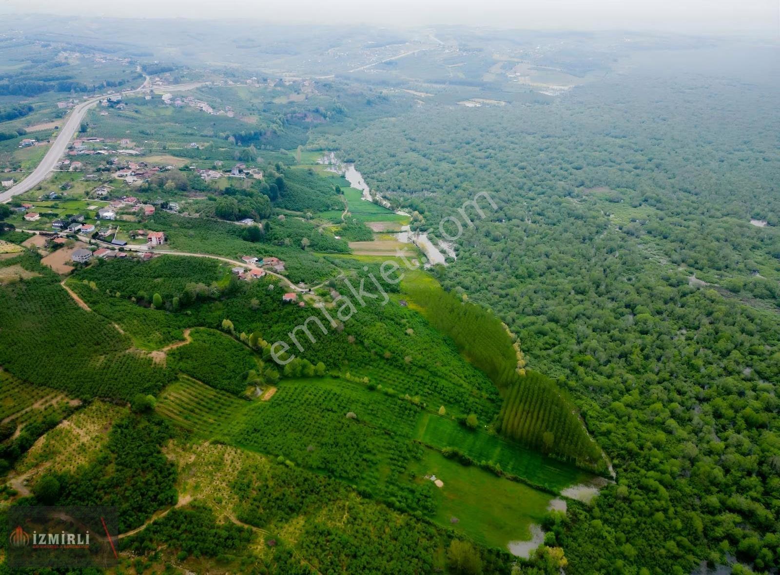 Doğa İçinde Kazançlı Yatırım! Üçolukta 16.834m² Geniş Fındıklık - Görsel 5
