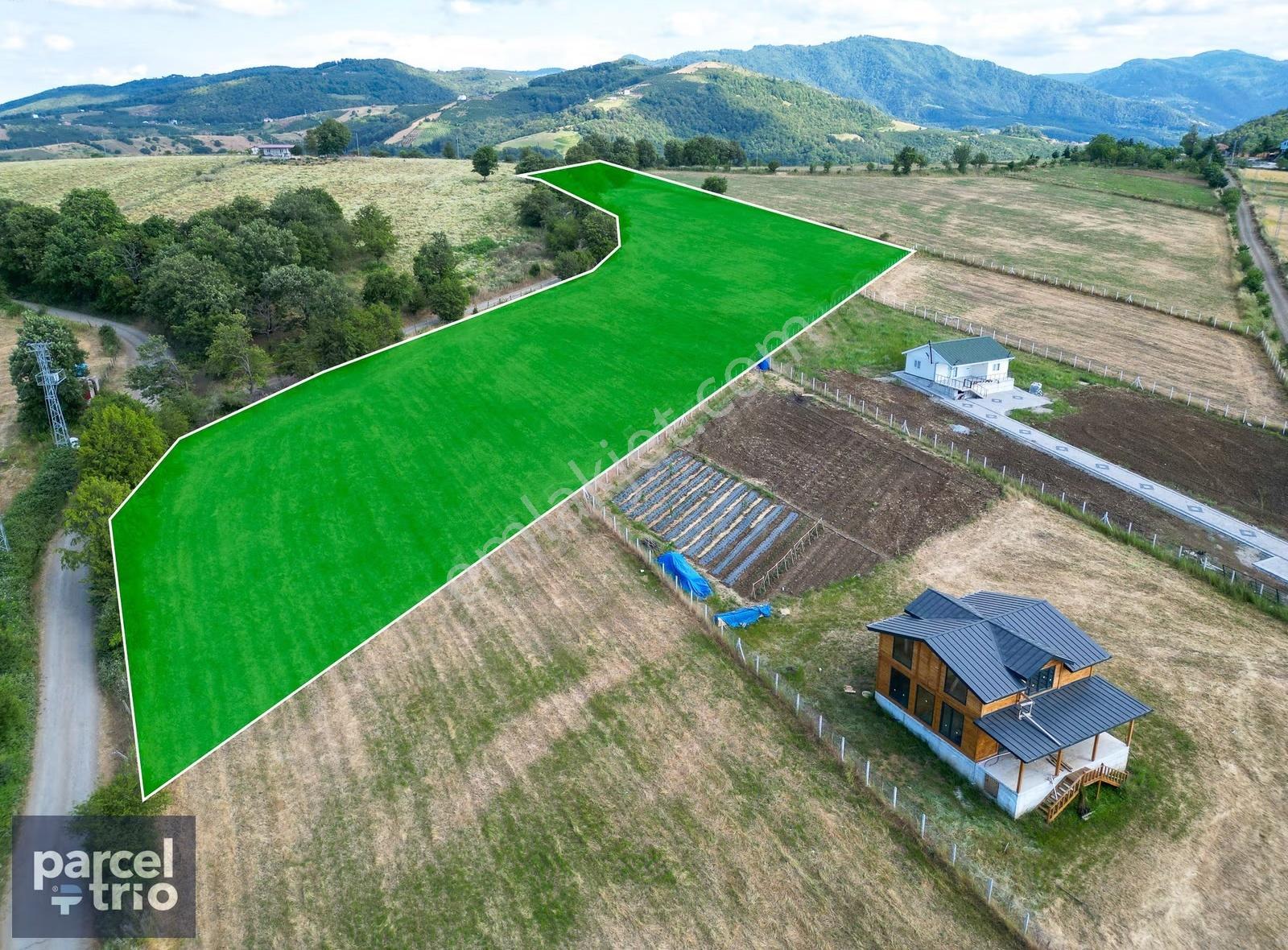 19 Mayıs Çepinler'de Villa Sitesi Yapımına Uygun 9.795 M2 İmarlı