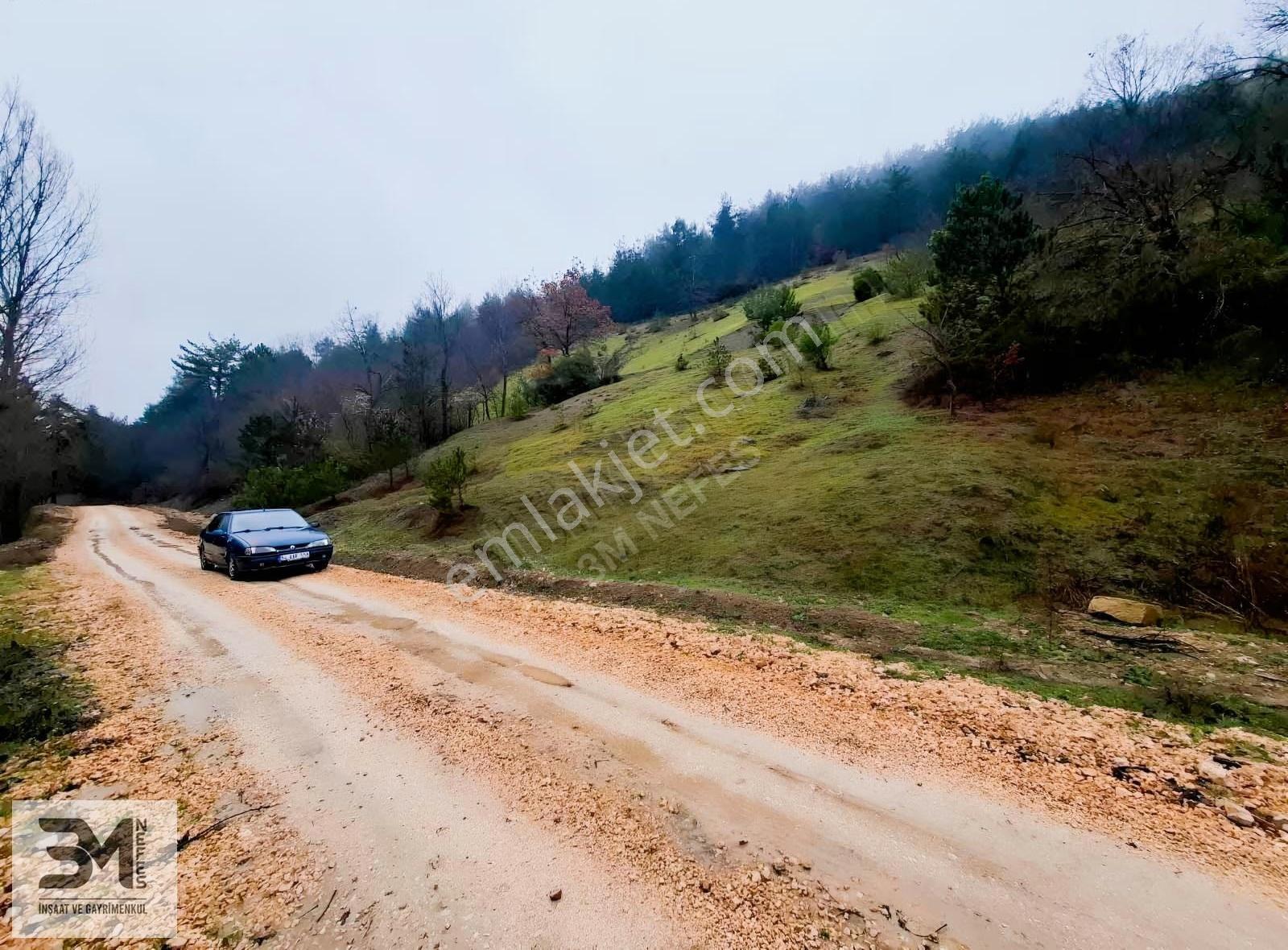 Sakarya Harkköy'de 9345 M² Satılık Uygun Arsa Fırsatı - Görsel 4
