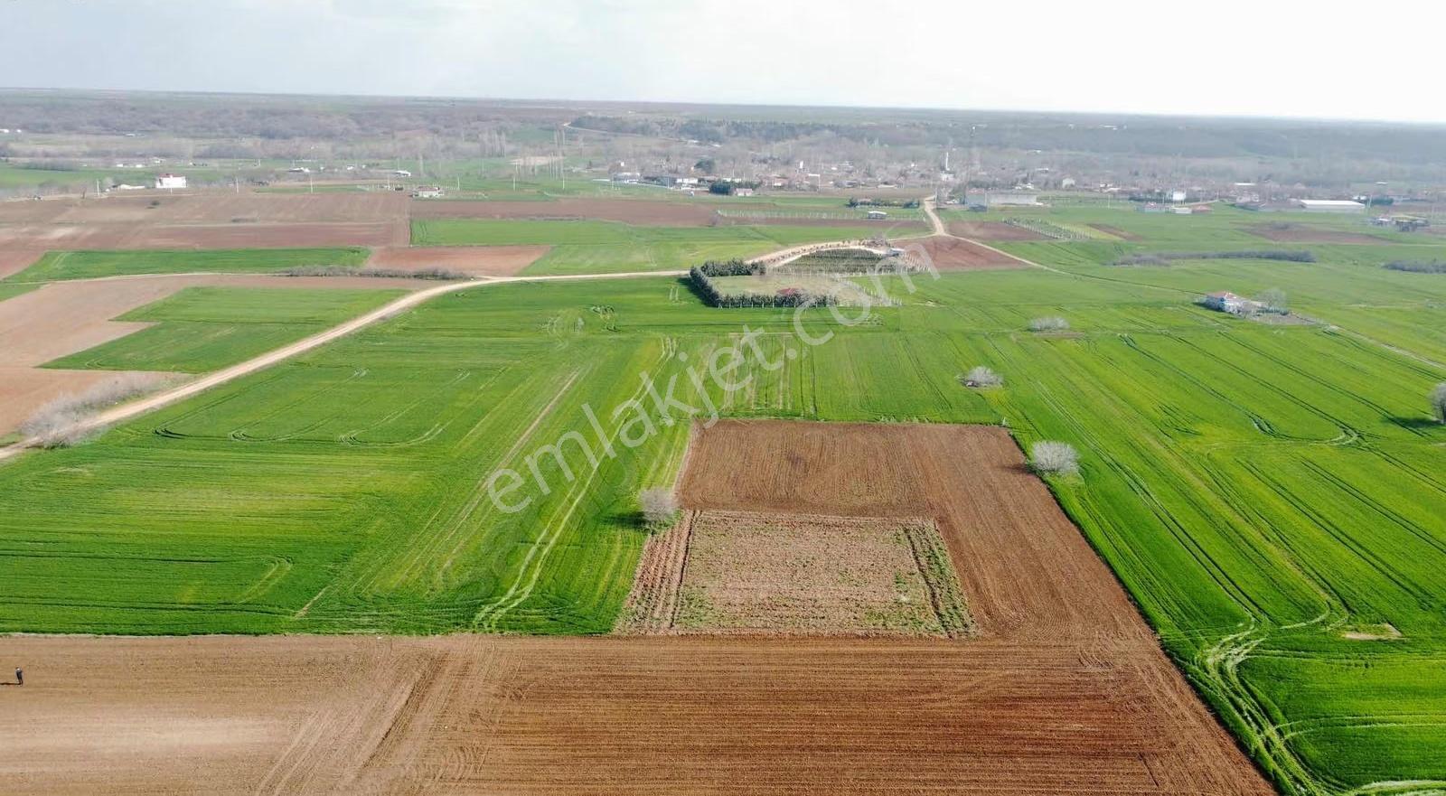 Ertuğrul Köyde Müstakil Satılık Tarla - Görsel 10