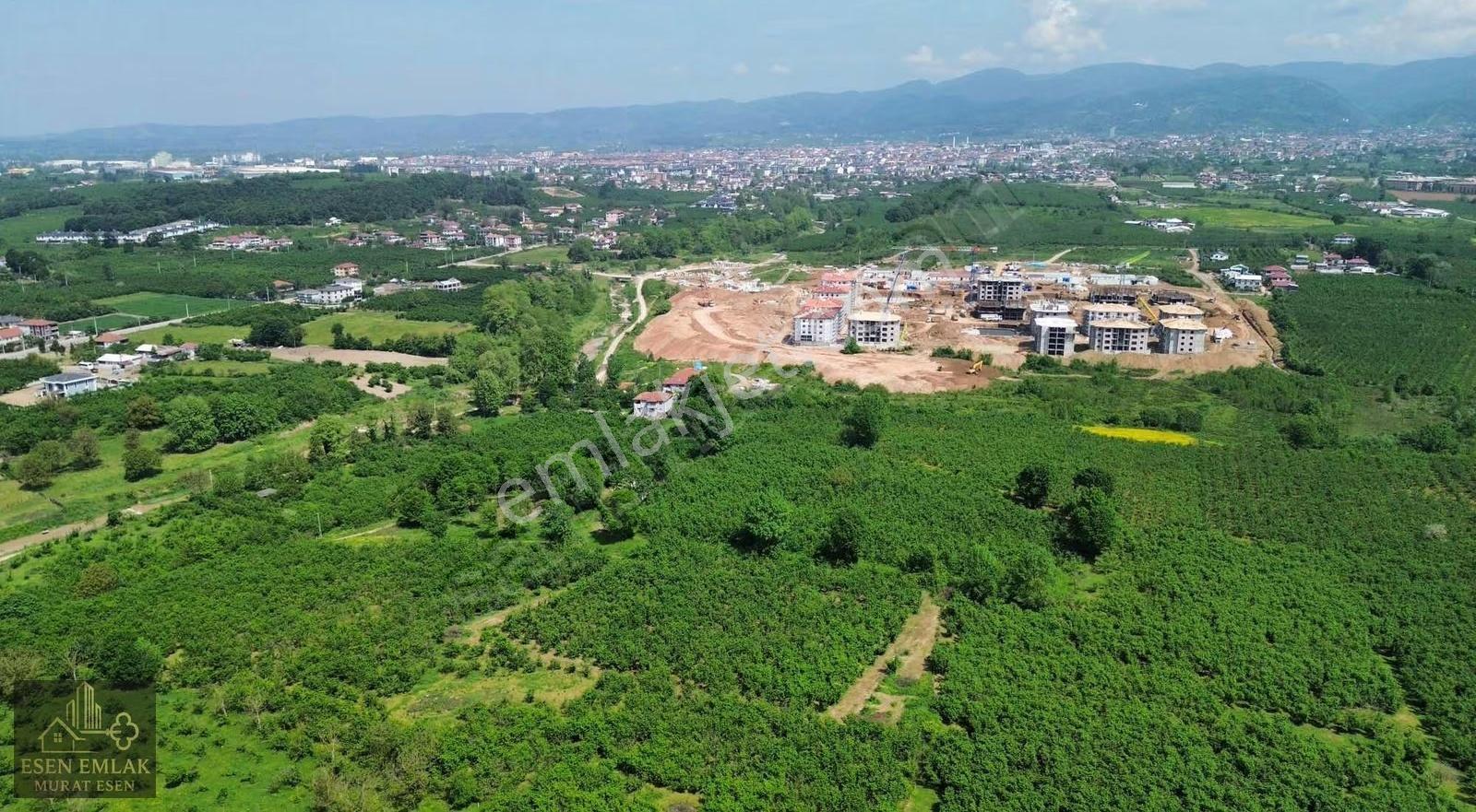 Sakarya Hendek Çağlayan'da Yatırımlık Fındıklık - Görsel 6