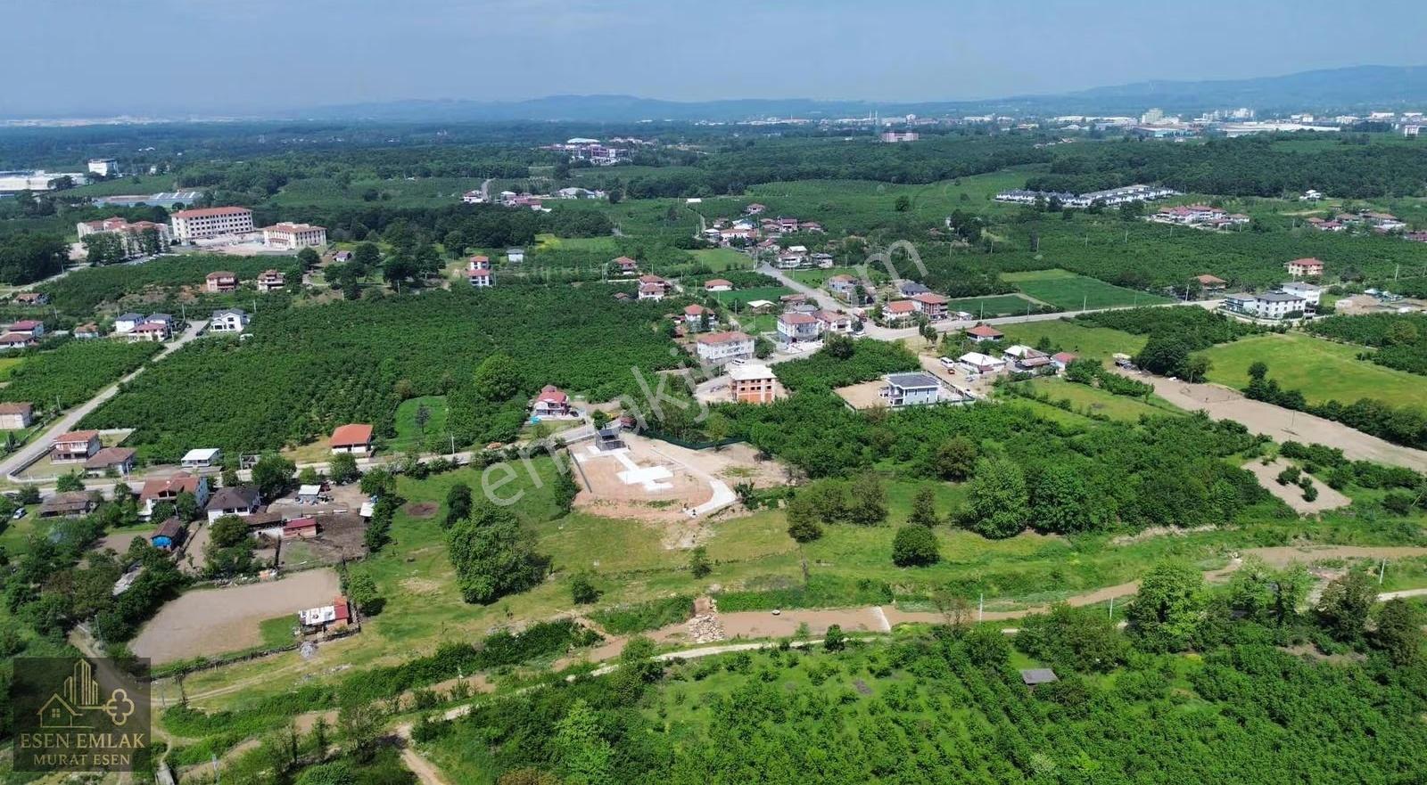 Sakarya Hendek Çağlayan'da Yatırımlık Fındıklık - Görsel 12