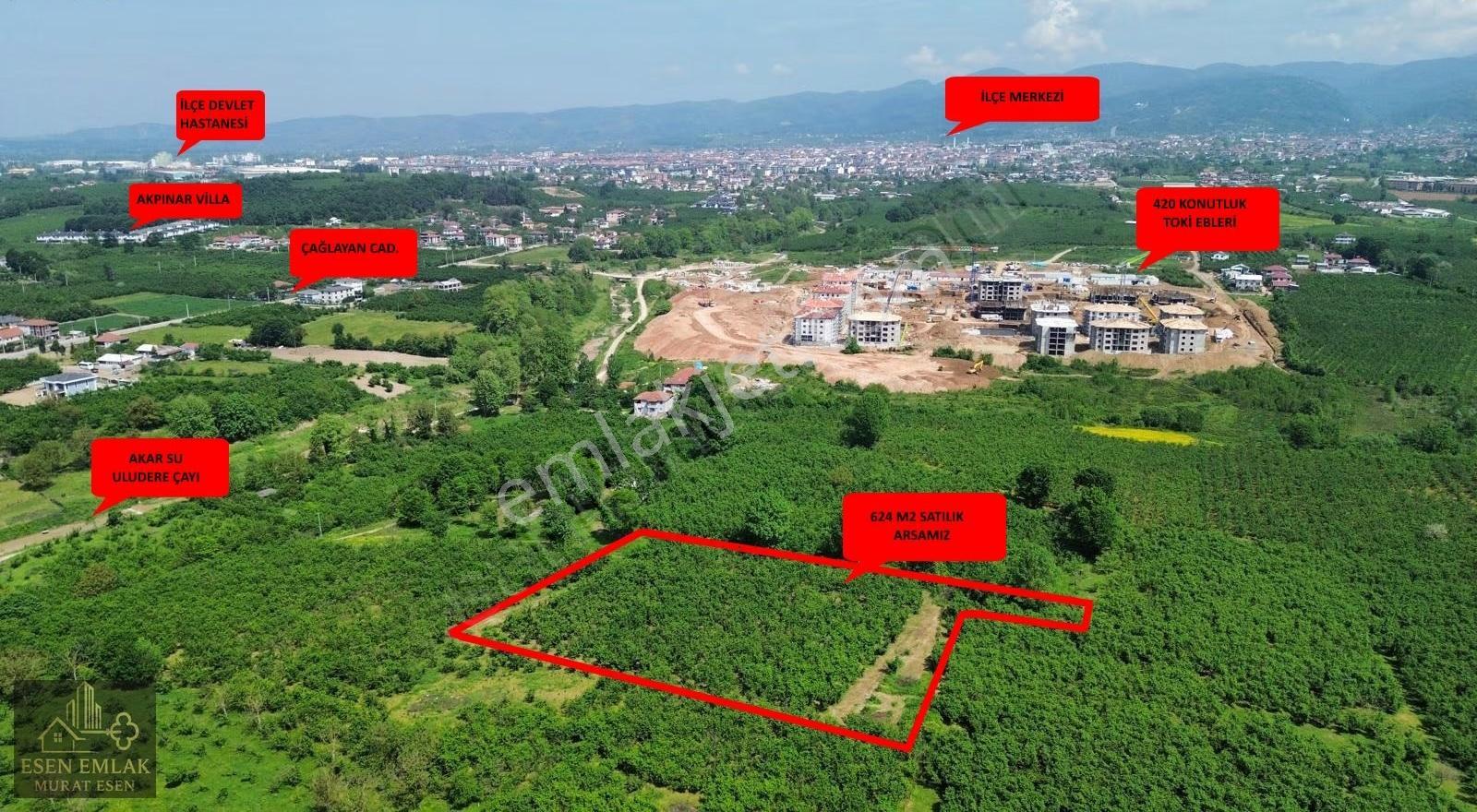 Sakarya Hendek Çağlayan'da Yatırımlık Fındıklık