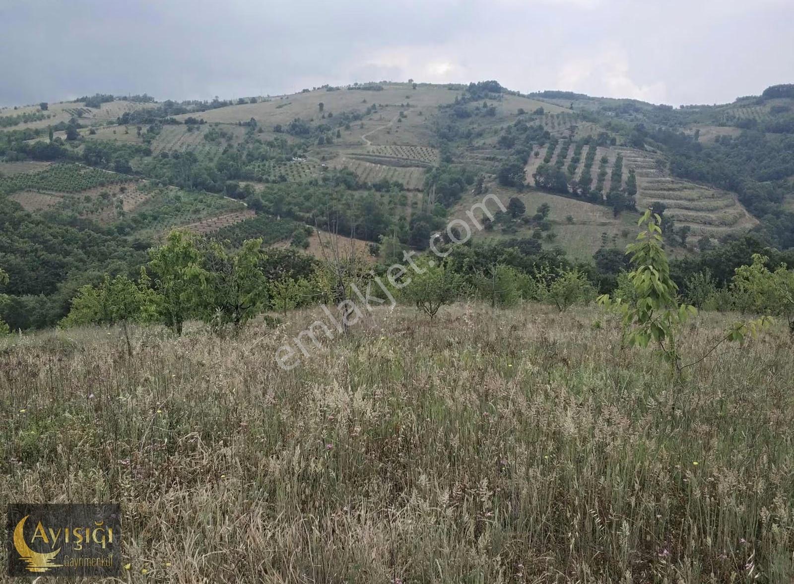 Bursa İznik Tacir Köyünde 8.700m² Satılık Meyve Bahçesi - Görsel 9