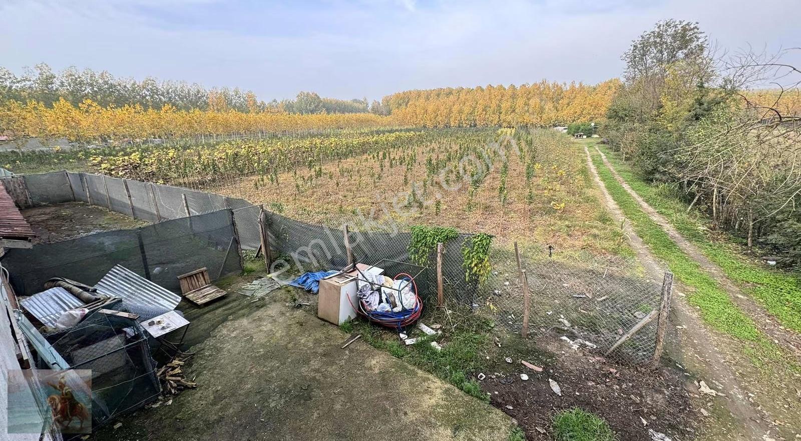 Düzce Merkez Çerkez Ballıca Köyü 7.600 M2 Satılık Hisseli Tarla - Görsel 2